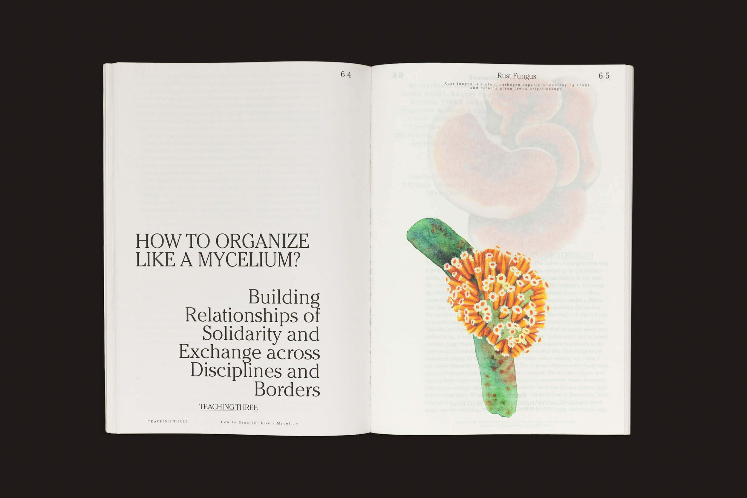 Em um fundo preto está o livro aberto "Let’s Become Fungal! - Mycelial Learning and the Arts" de Yasmine Ostendorf-Rodríguez. A página da esquerda diz: "COMO ORGANIZAR COMO UM MYCELIUM?" A página da direita descreve uma ilustração abstrata capturando uma rede fúngica próspera. Marca: Valiz.