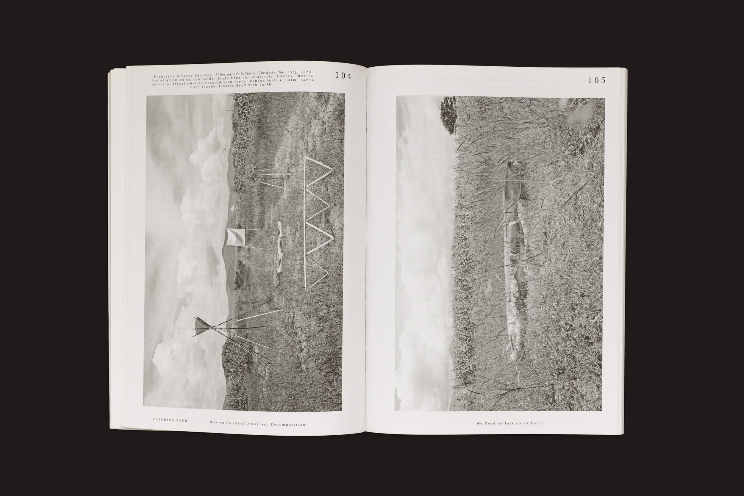 O livro "Vamos nos tornar fungos! - Aprendizagem Micélio e as Artes" de Yasmine Ostendorf-Rodríguez (Valiz) inclui fotos nas páginas 104-105 de estruturas de madeira como micélio e uma peça horizontal que espelha formas micológicas orgânicas dentro de uma paisagem natural.