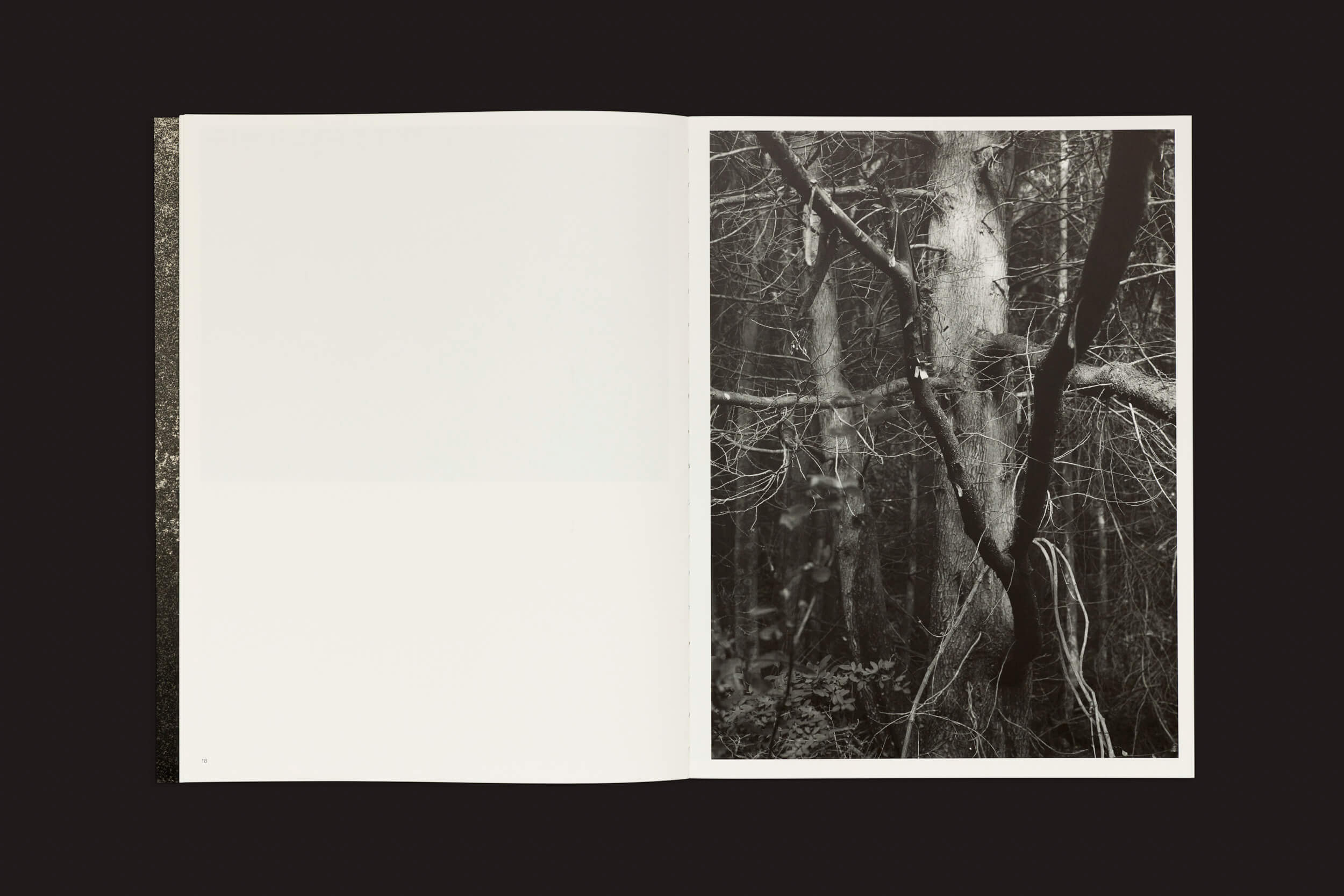 Em Pablo Cabado: Little Suns on Earth de The Eriskay Connection, um livro aberto revela uma foto em preto e branco da paisagem arborizada de Ilha Huemul. A página da direita mostra uma árvore com galhos nus, simbolizando o delicado equilíbrio na fusão nuclear, enquanto a página da esquerda está em branco contra um fundo escuro.