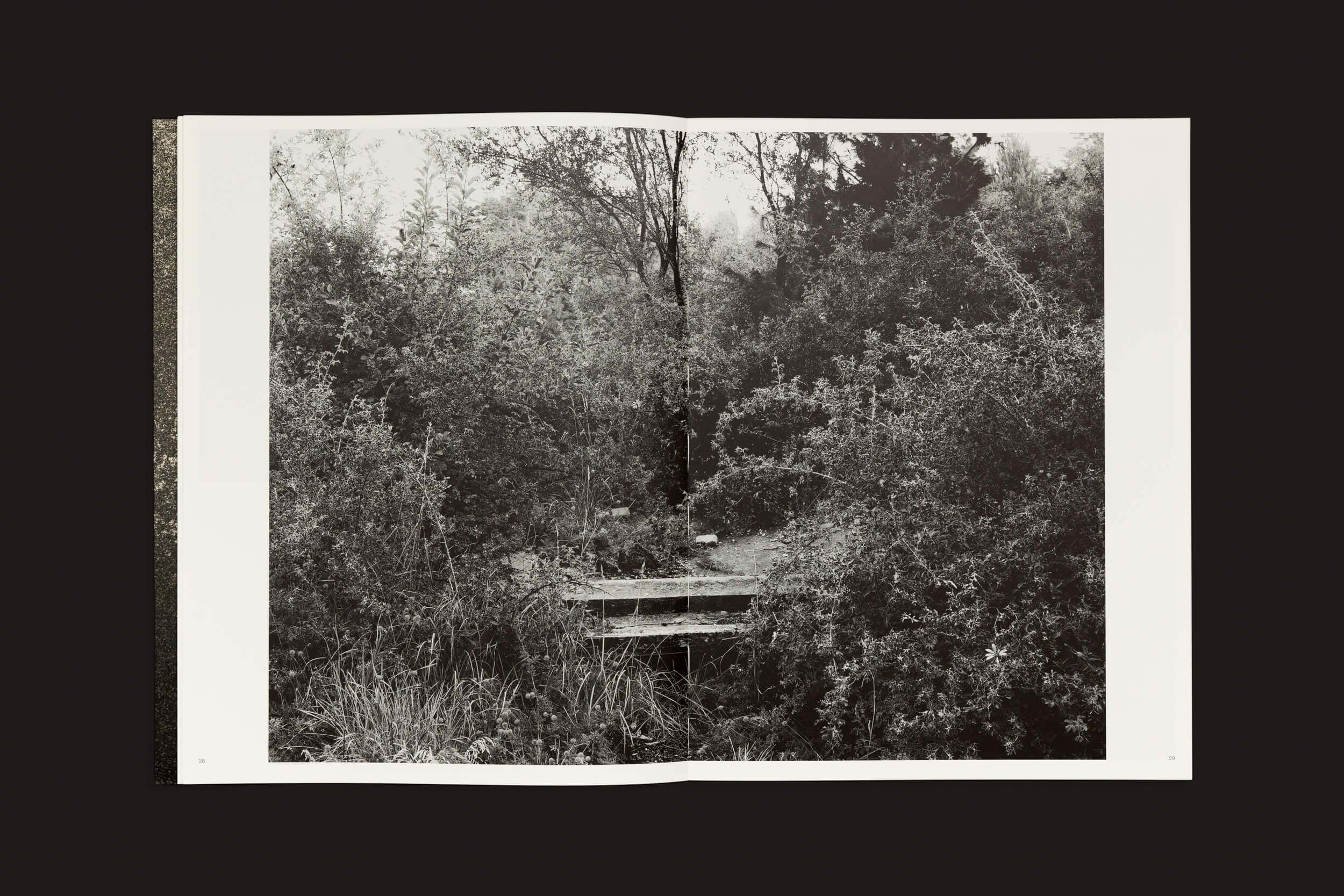 O livro Pablo Cabado: Little Suns on Earth, da The Eriskay Connection, mostra uma foto em preto e branco de uma ponte rústica na Ilha Huemul, cercada por densa vegetação e árvores, criando uma atmosfera serena e natural com a ponte parcialmente obscurecida.