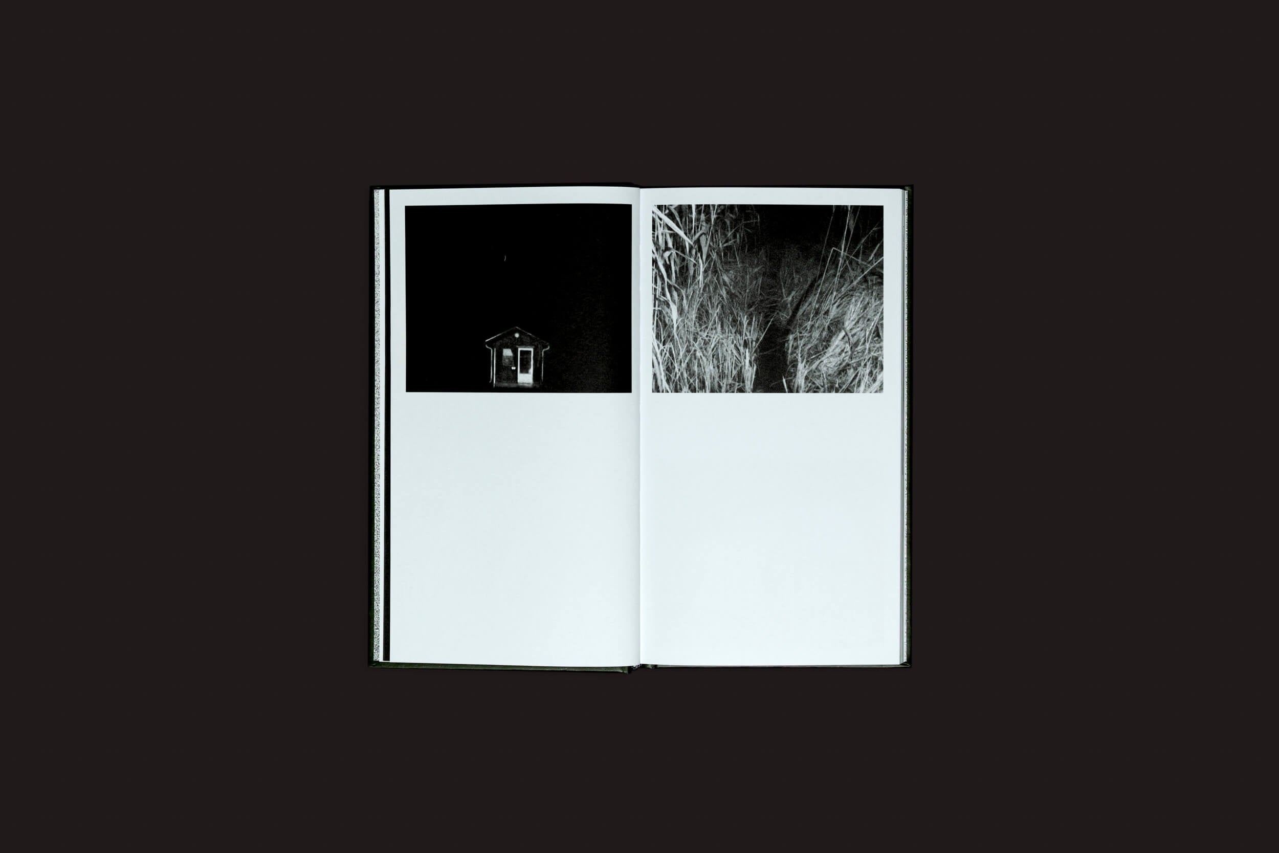 Um livro aberto de Selo Turvo, intitulado Ariadna Lasser: Los Sueños, repousa sobre uma superfície escura. Suas páginas, revelando paisagens oníricas, retratam uma casa sombreada à esquerda e galhos intrincados serpenteando pela escuridão à direita.