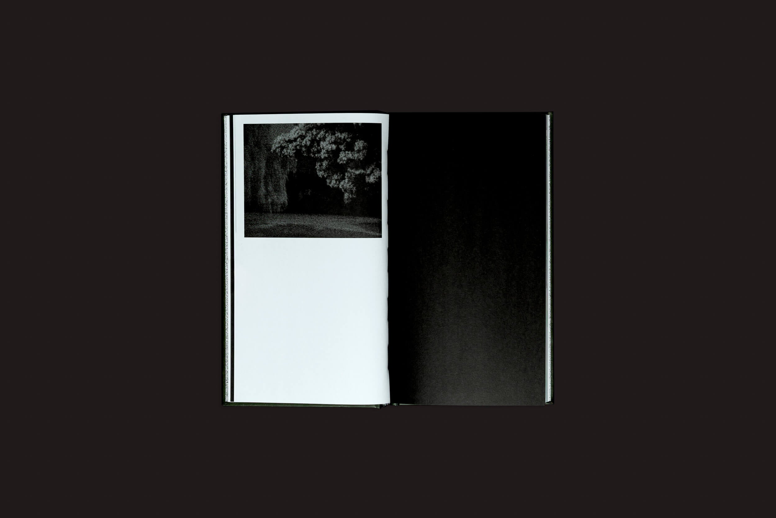 Um livro aberto de Selo Turvo, Ariadna Lasser: Los Sueños, repousa sobre um fundo escuro. Uma foto de árvore em preto e branco enfeita a página esquerda, enquanto a direita permanece preta, criando um contraste marcante que lembra os sonhos de Ariadna Lasser.