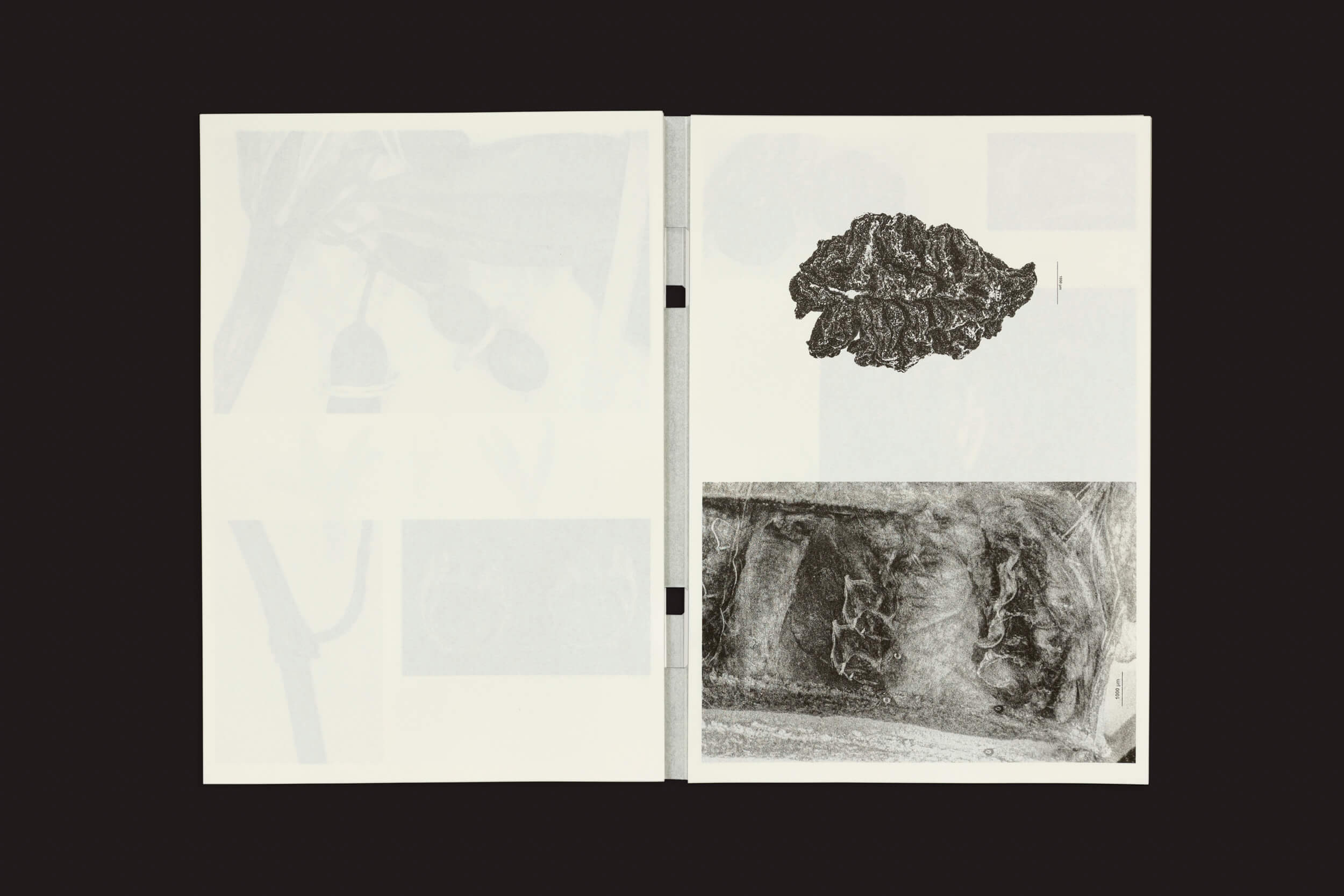 O produto Loh Xiang Yun: Microscopic Images da Temporary Press apresenta um livro aberto com imagens microscópicas abstratas em preto e branco: uma textura de folhas na página esquerda e dois padrões texturizados e indiscerníveis na direita. O fundo bege claro complementa a encadernação em anel de metal.