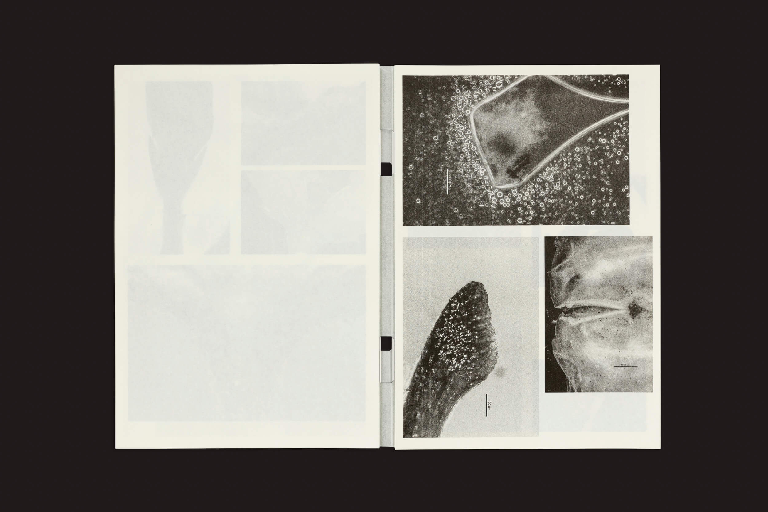 O livro Loh Xiang Yun: Microscopic Images, da Temporary Press, apresenta imagens microscópicas abstratas em preto e branco na página direita, contra um fundo escuro, enquanto a página esquerda mostra detalhes tênues e elusivos.