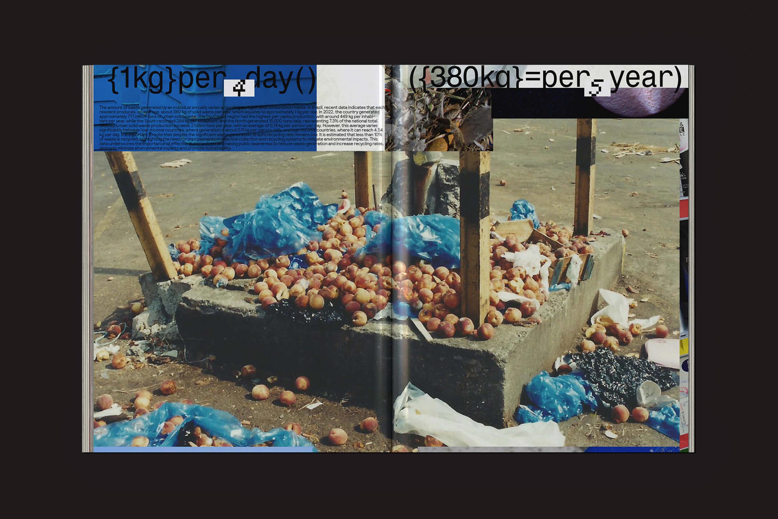 Uma fotografia do The Iconomist Nº 6, da Zero-Edições, mostra cebolas descartadas em uma rua da cidade em meio a sacos plásticos azuis, detritos e páginas rasgadas com textos e diagramas - um testemunho silencioso do capitalismo tardio.