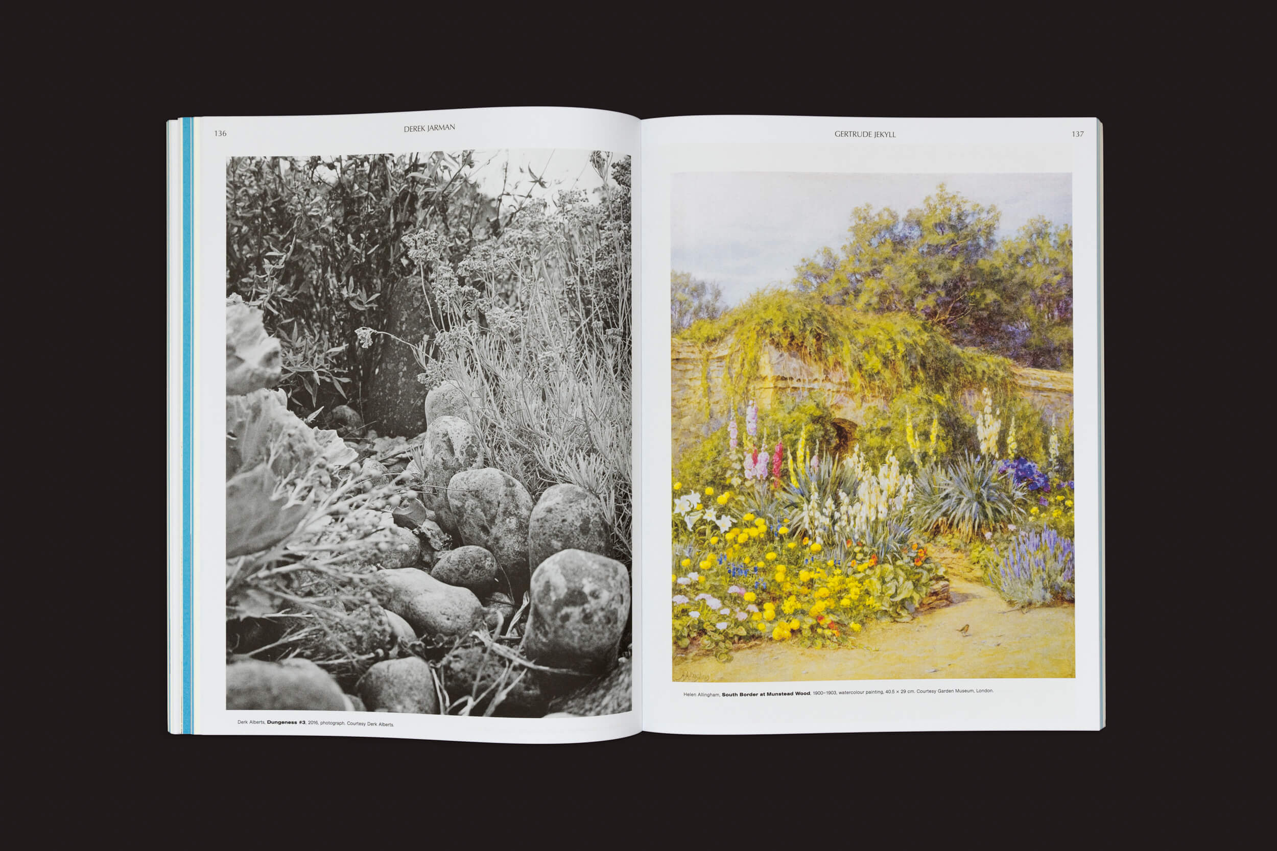 Em "Sobre a necessidade de jardinagem - Um ABC da arte, botânica e cultivo", de Laurie Cluitmans (Valiz), uma página apresenta uma foto em preto e branco de um jardim tranquilo com pedras e plantas, enquanto a página oposta mostra uma ilustração colorida de uma casa de pedra coberta de flores celebrando a harmonia da natureza.