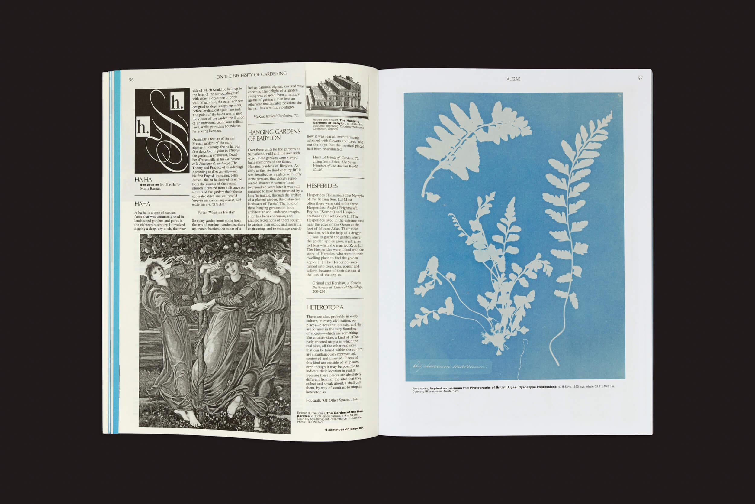 O livro "On the Necessity of Gardening - An ABC of Art, Botany and Cultivation" de Laurie Cluitmans de Valiz mostra uma página esquerda com texto, ilustrações, elementos decorativos e blocos refletindo sociedade. A página direita apresenta silhuetas brancas detalhadas de samambaias em um fundo de cianótipo azul celebrando a natureza.