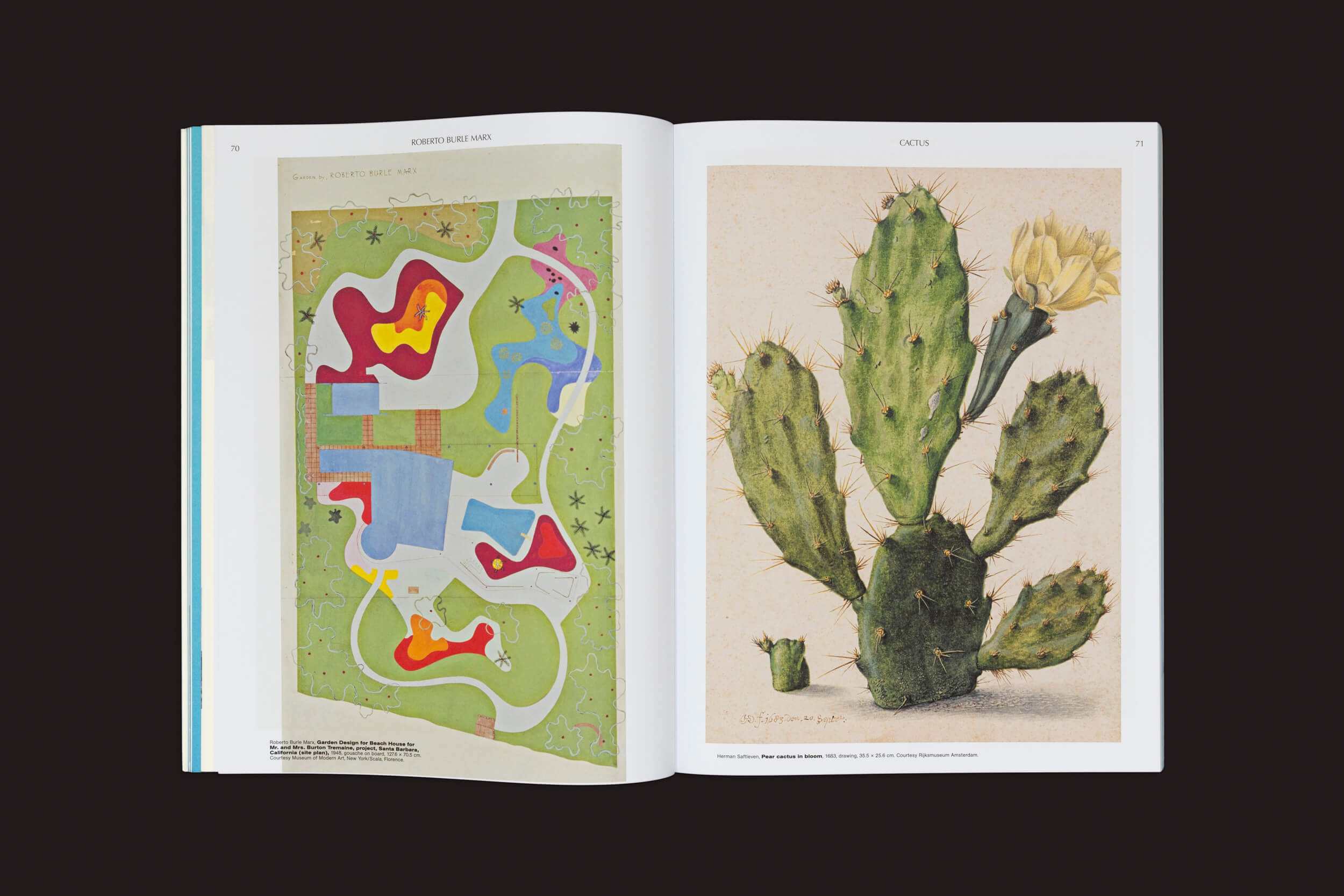 O livro aberto "Sobre a necessidade de jardinagem - Um ABC da arte, botânica e cultivo", de Laurie Cluitmans, de Valiz, está sobre um fundo preto, com a página da esquerda mostrando arte abstrata colorida e a da direita exibindo uma ilustração de cacto com uma flor amarela, capturando o jardim da natureza na sociedade moderna.