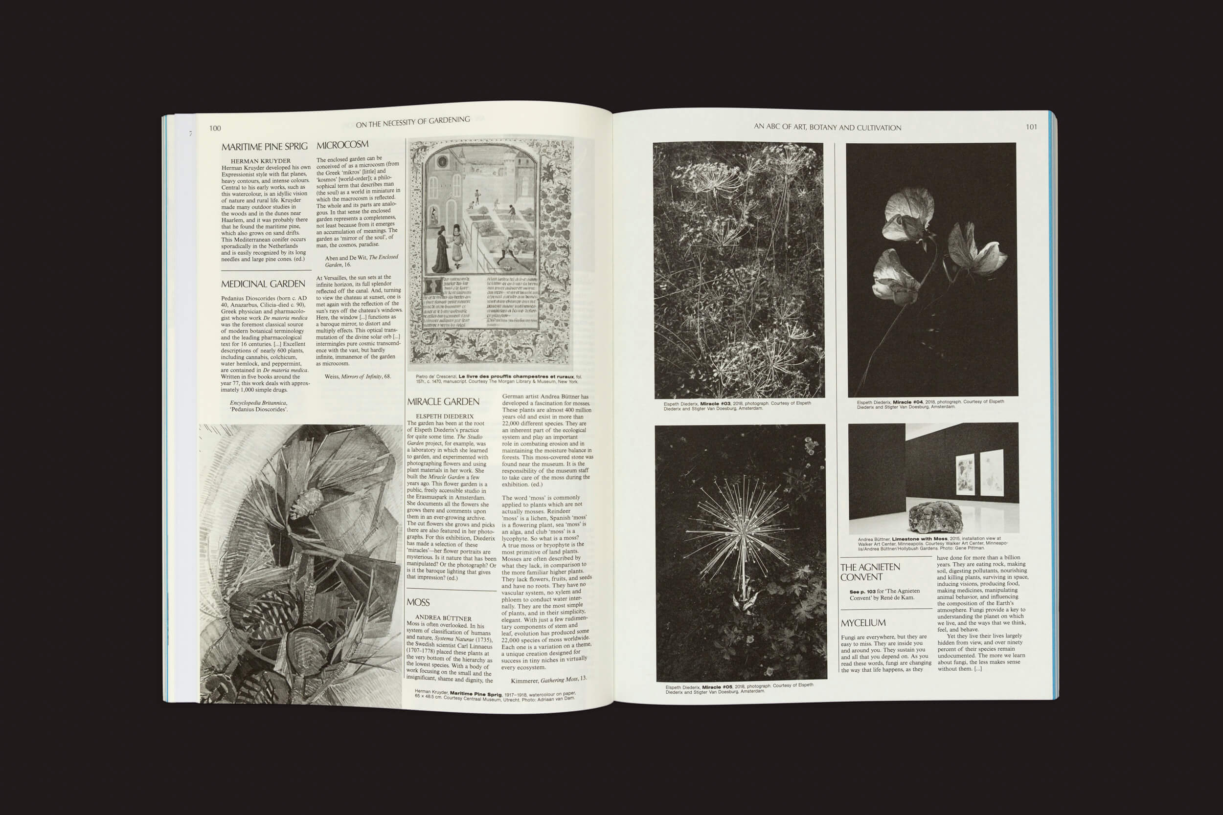 Uma página aberta da revista Valiz, "On the Necessity of Gardening - An ABC of Art, Botany and Cultivation" de Laurie Cluitmans, destaca texto, ilustrações e fotos de plantas em preto e branco. A página da esquerda é cercada decorativamente ao redor do texto; a da direita exibe flores vibrantes de jardin e arte de jardim.