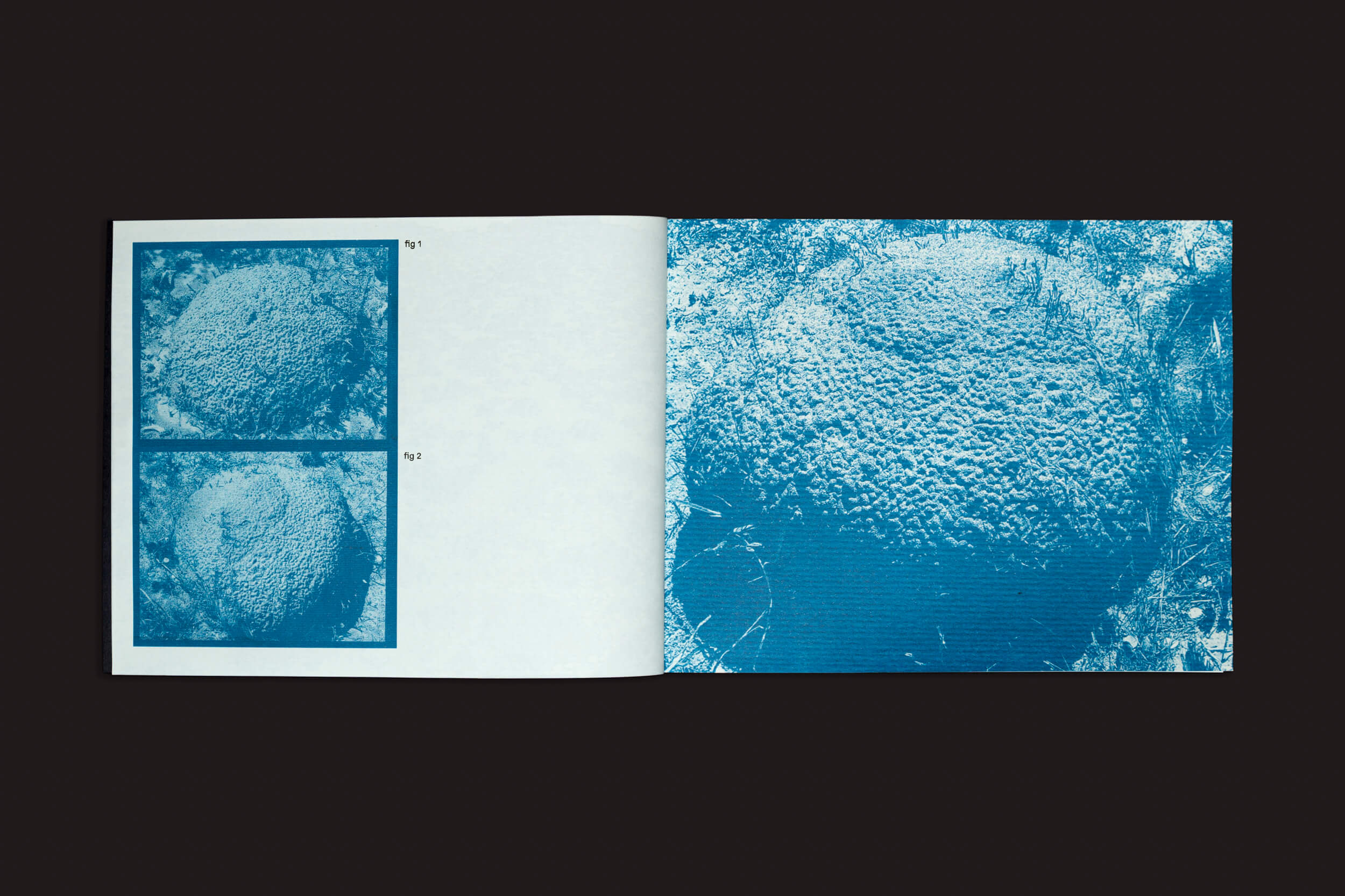 O livro Óris de Bárbara Lissa & Maria Vaz do Selo Turvo abre com imagens texturizadas em tons de azul que ecoam imagens-paisagens. A página da esquerda tem duas cenas menores empilhadas verticalmente, e a da direita apresenta um padrão maior inspirado no Antropoceno em um fundo escuro.