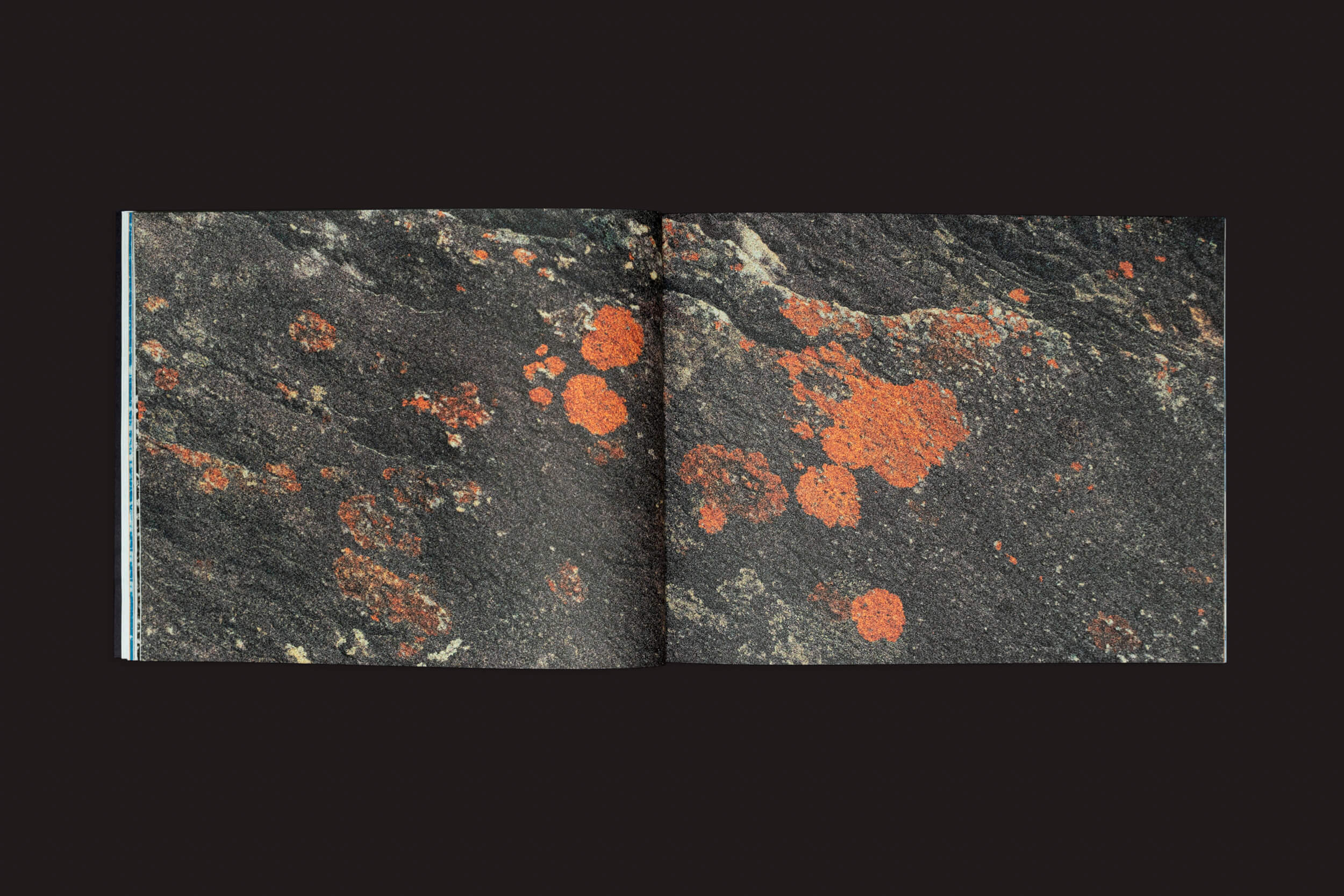 Um livro aberto, intitulado Bárbara Lissa & Maria Vaz: Óris de Selo Turvo, exibe uma foto de uma superfície escura texturizada com manchas laranja-avermelhadas espalhadas como líquen em rochas. O fundo preto sólido realça a imagem, evocando imagens-paisagens da era Antropoceno.