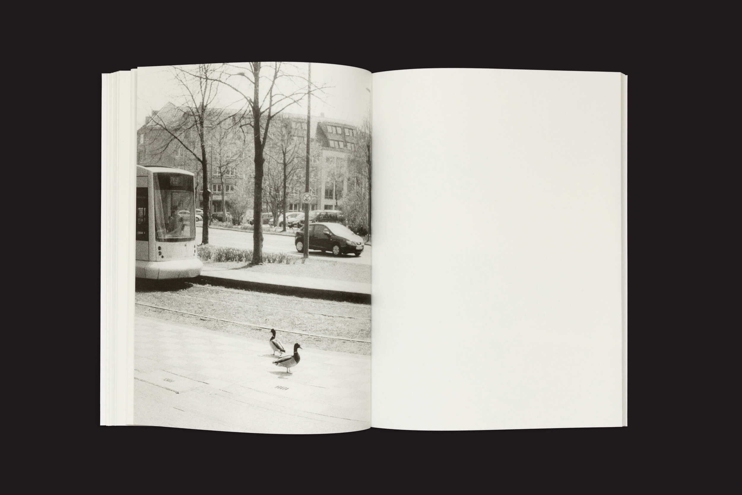 O livro aberto Jochen Lempert: Paare / Pairs da Roma Publications exibe uma fotografia em preto e branco de dois patos caminhando em uma calçada com árvores, um ônibus e carros estacionados nas proximidades. A página da direita está em branco contra o fundo escuro, criando uma atmosfera tranquila de exposição.