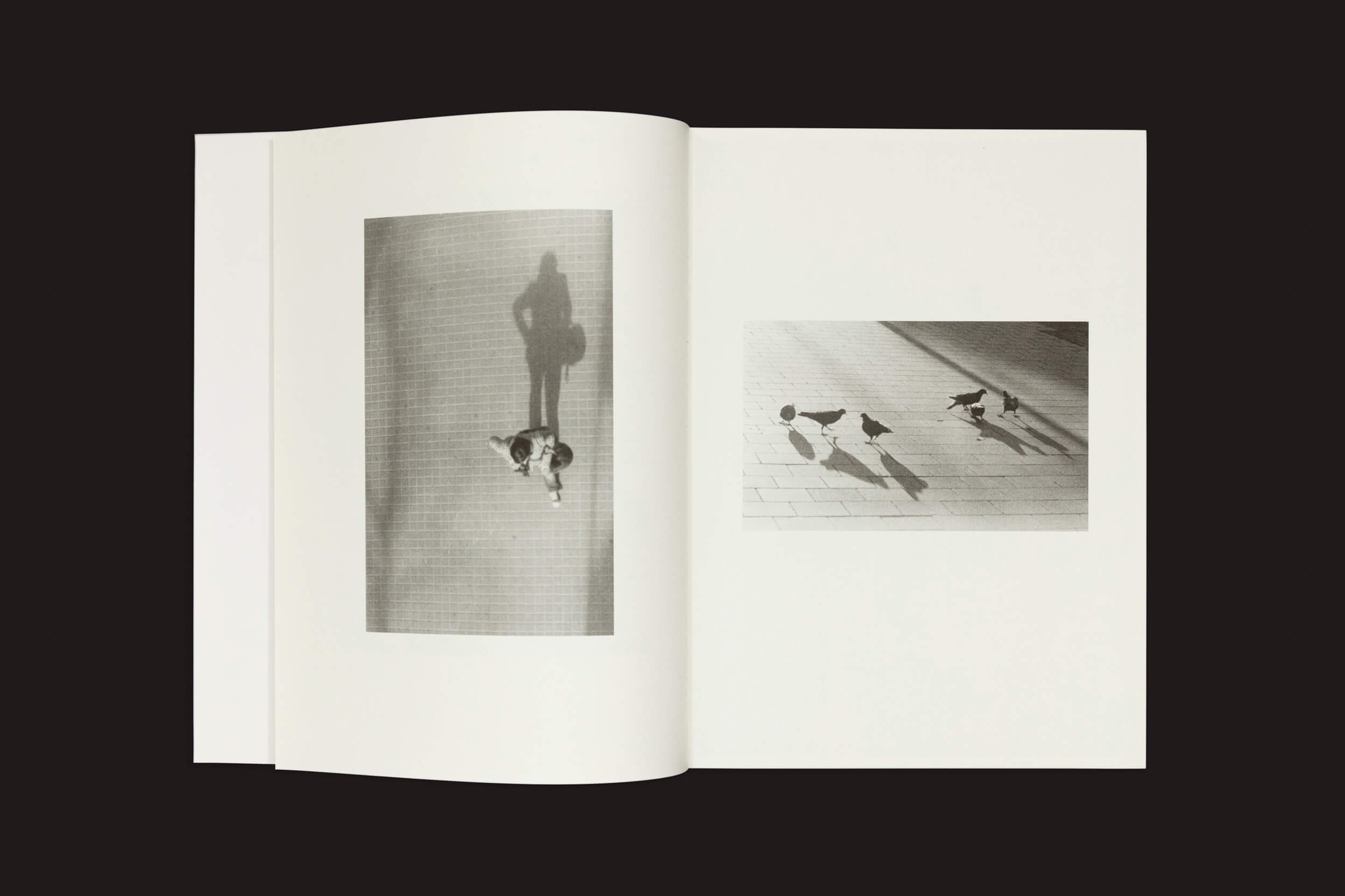 O livro Jochen Lempert: Paare / Pairs, da Roma Publications, apresenta imagens em preto e branco, incluindo uma pessoa passeando com um cachorro com sombras alongadas nos ladrilhos e três pombos projetando longas sombras em uma calçada iluminada pelo sol.