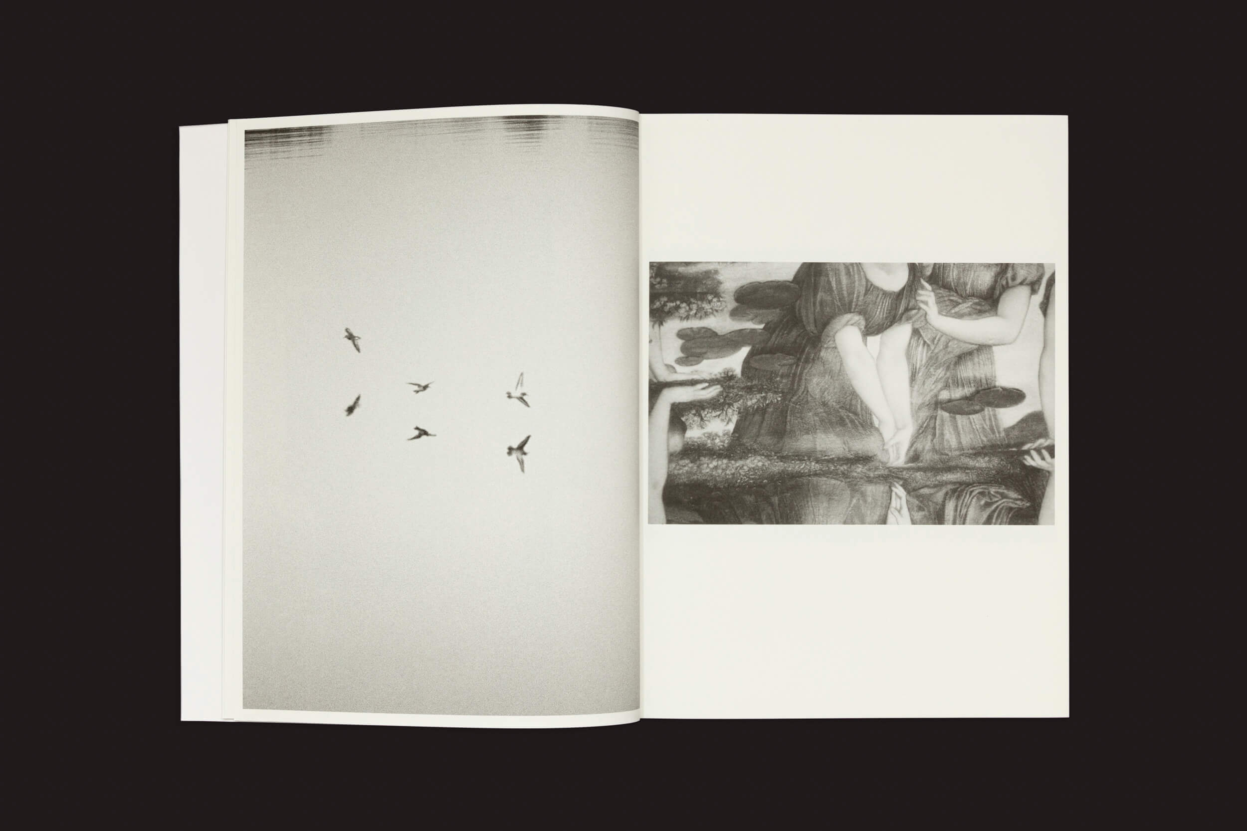 O livro aberto apresenta fotografias de pássaros de Jochen Lempert, da Roma Publications, à esquerda, e uma imagem abstrata em tons de cinza de uma pessoa com membros parcialmente visíveis à direita, criando uma impressionante exposição Paare / Pairs contra um fundo escuro.