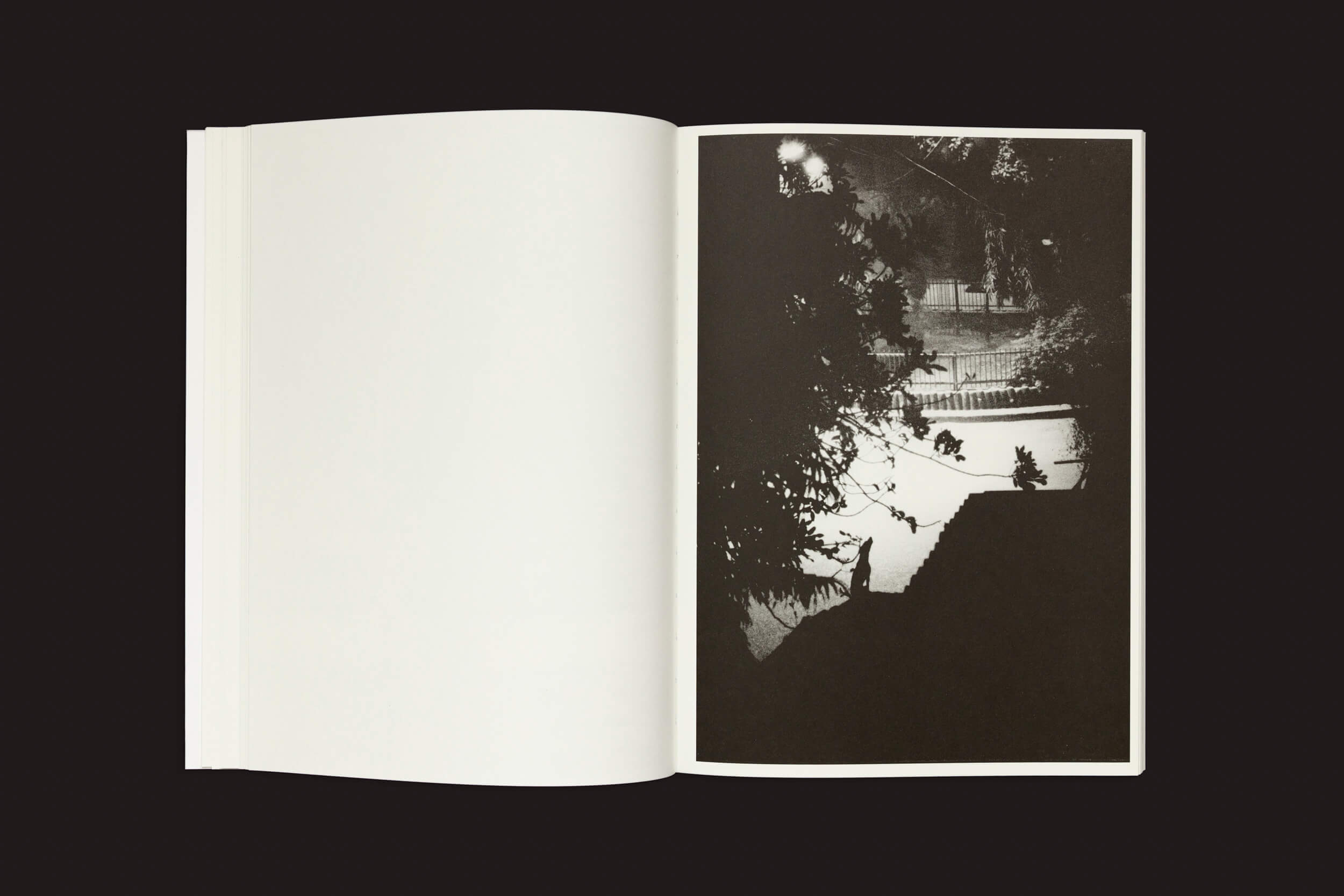 Uma cópia aberta de Jochen Lempert: Paare / Pairs da Roma Publications está sobre uma superfície escura. A página da esquerda está em branco, enquanto a da direita exibe uma foto monocromática no estilo de Lempert, exibindo uma cena de rua mal iluminada com árvores e silhuetas — uma exposição assombrosa de serenidade urbana.