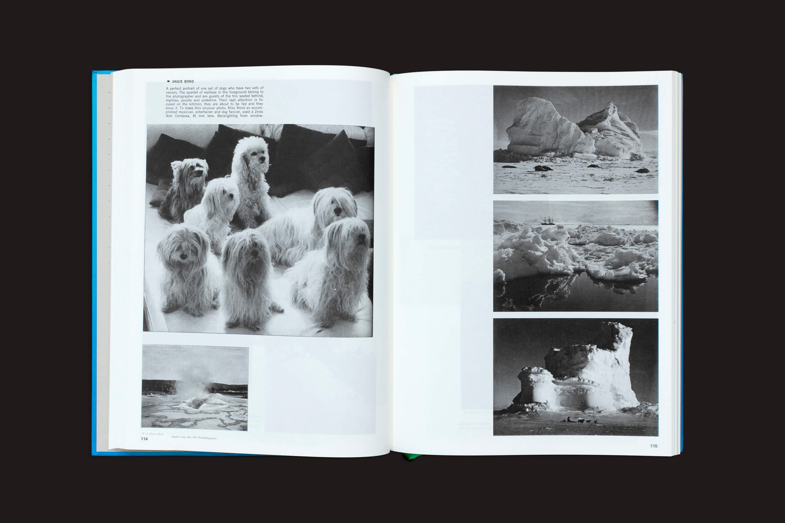 Uma cópia aberta de Batia Suter: Parallel Encyclopedia 1, da Roma Publications, exibe fotos em preto e branco: cães peludos e uma paisagem à esquerda, icebergs e um barco em águas geladas à direita — uma iconização artística em um fundo cinza escuro.