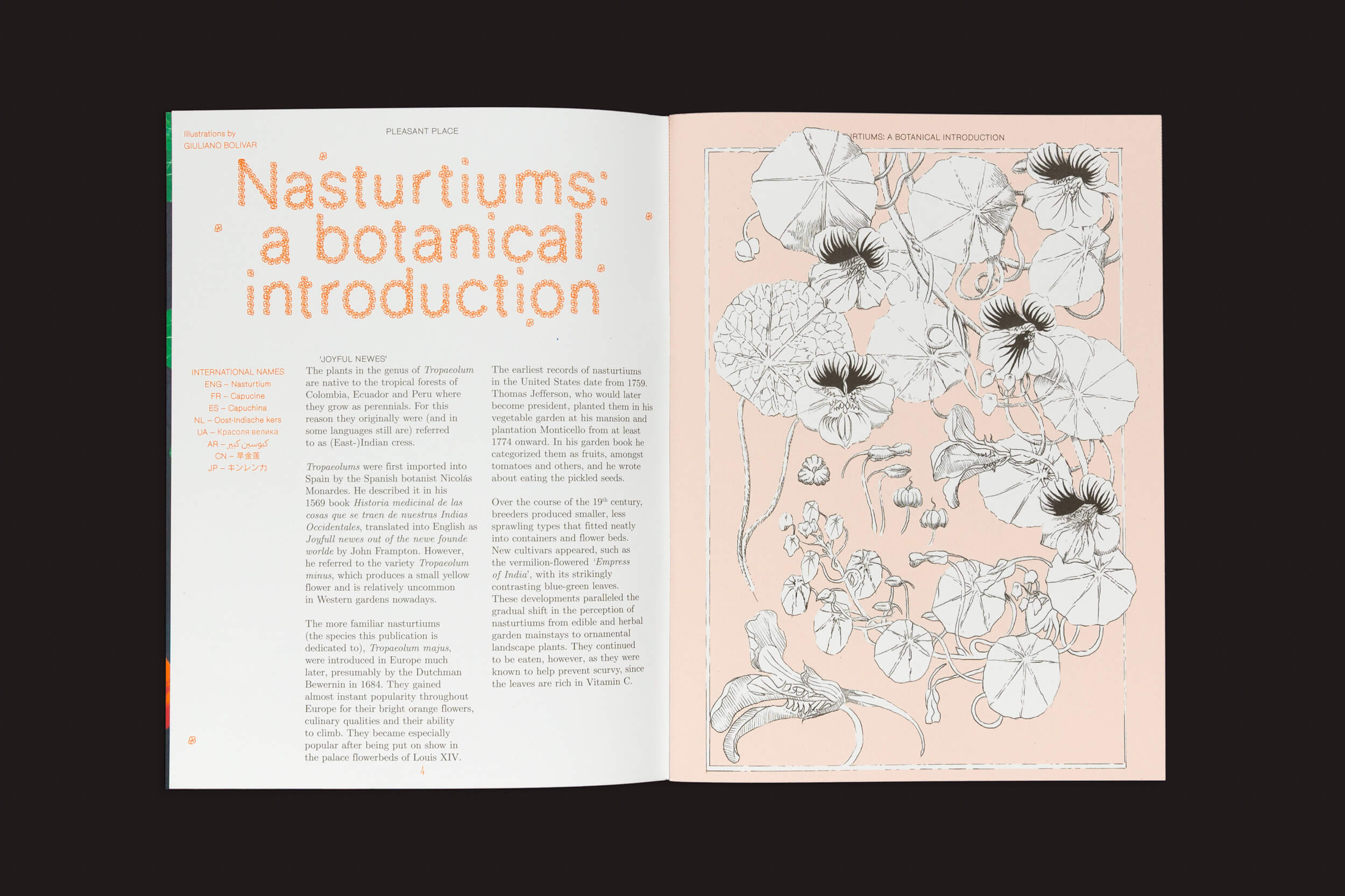 Um livro aberto, Pleasant Place 2: Nasturtiums (Tropaeolum Majus), exibe texto na página esquerda e um desenho ilustrado de flores de capuchinha, ou capuchinha, na direita. O fundo rosa claro complementa perfeitamente seu tema jardins.