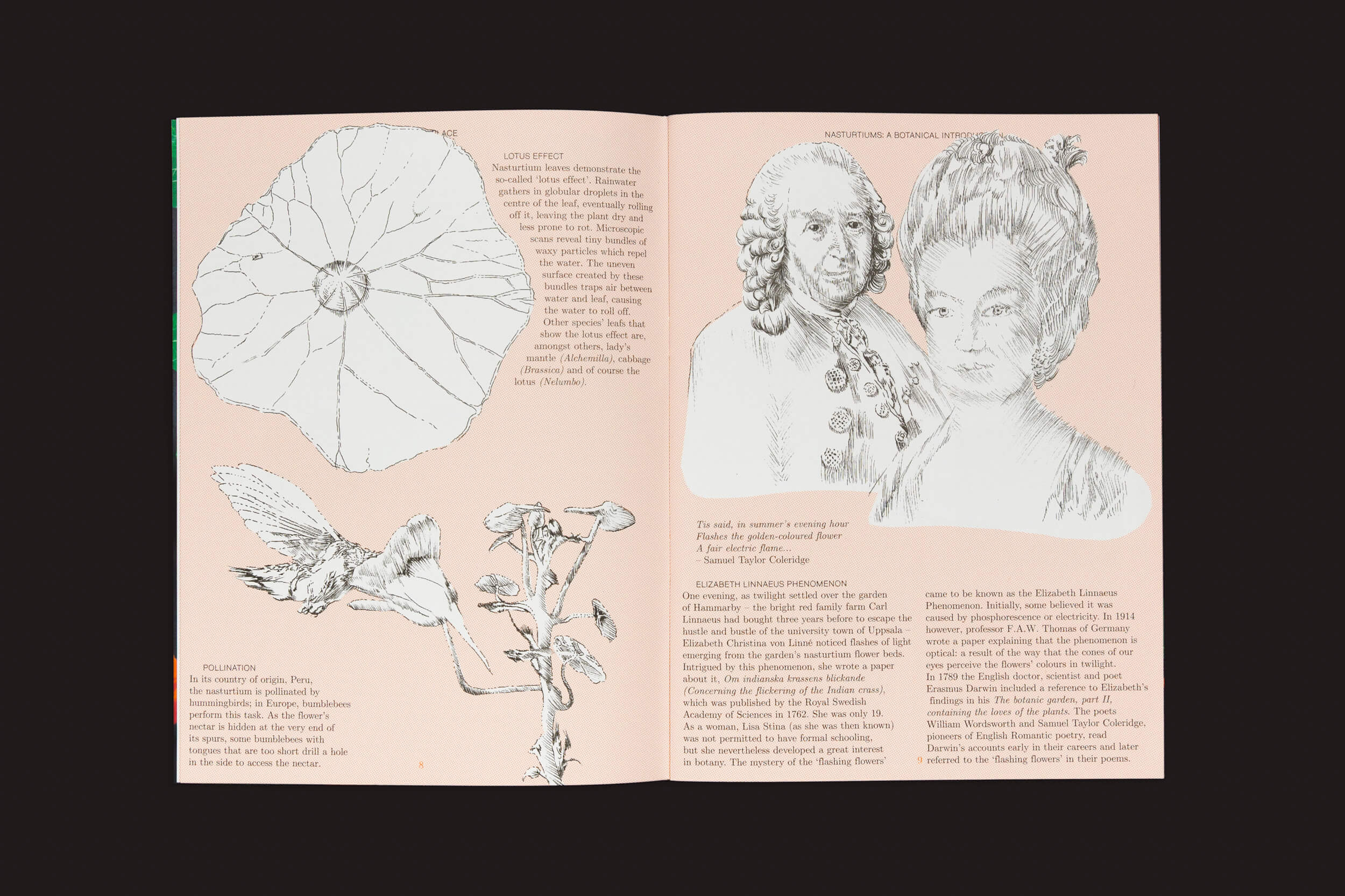 O livro Pleasant Place 2: Nasturtiums (Tropaeolum Majus) da Pleasant Place apresenta ilustrações botânicas, como um esboço detalhado da flor da capuchinha, um diagrama de polinização e retratos históricos, além de texto sobre processos naturais, design de jardins e contexto histórico.