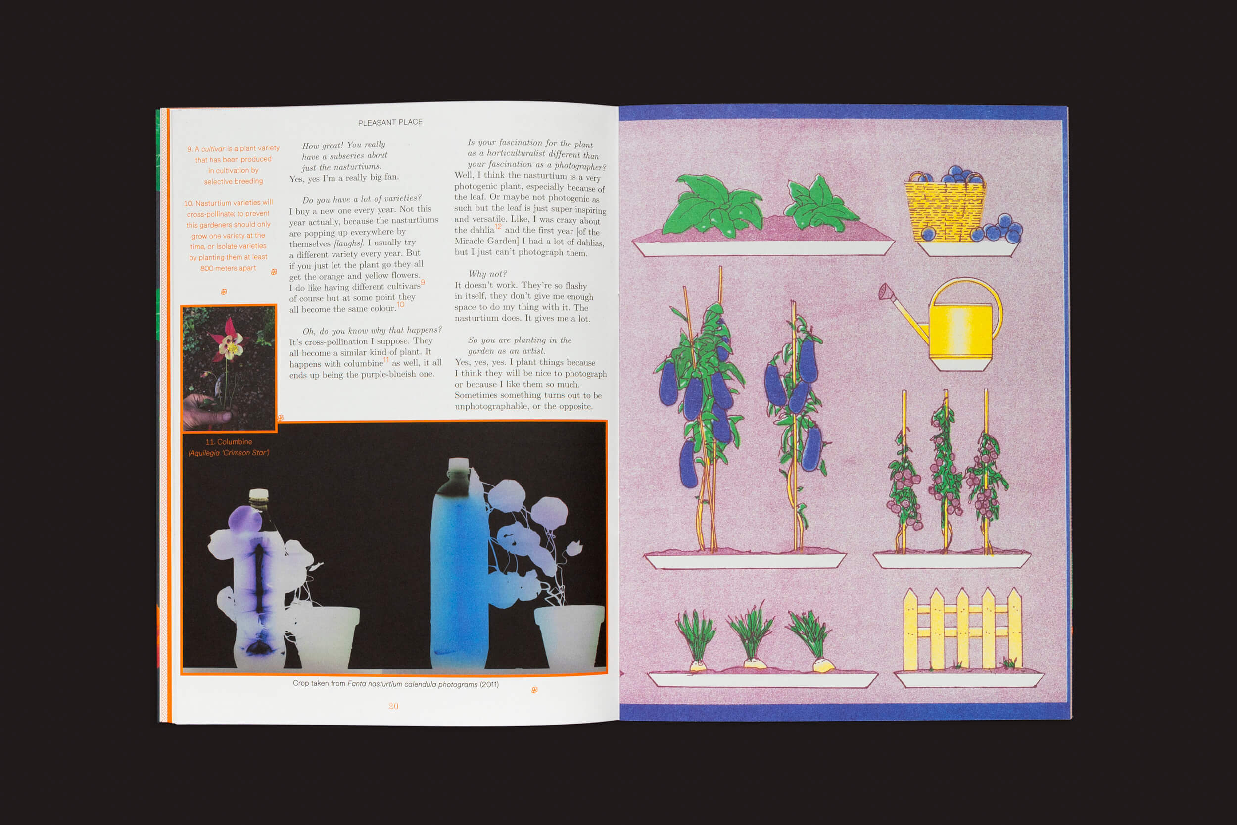 Um livro aberto revela ilustrações vibrantes. A página da esquerda apresenta texto e fotos de arranjos florais de Pleasant Place 2: Nasturtiums, enquanto a da direita exibe jardinagem com plantas, um regador, uma cesta de frutas e uma pequena cerca em um fundo roxo.