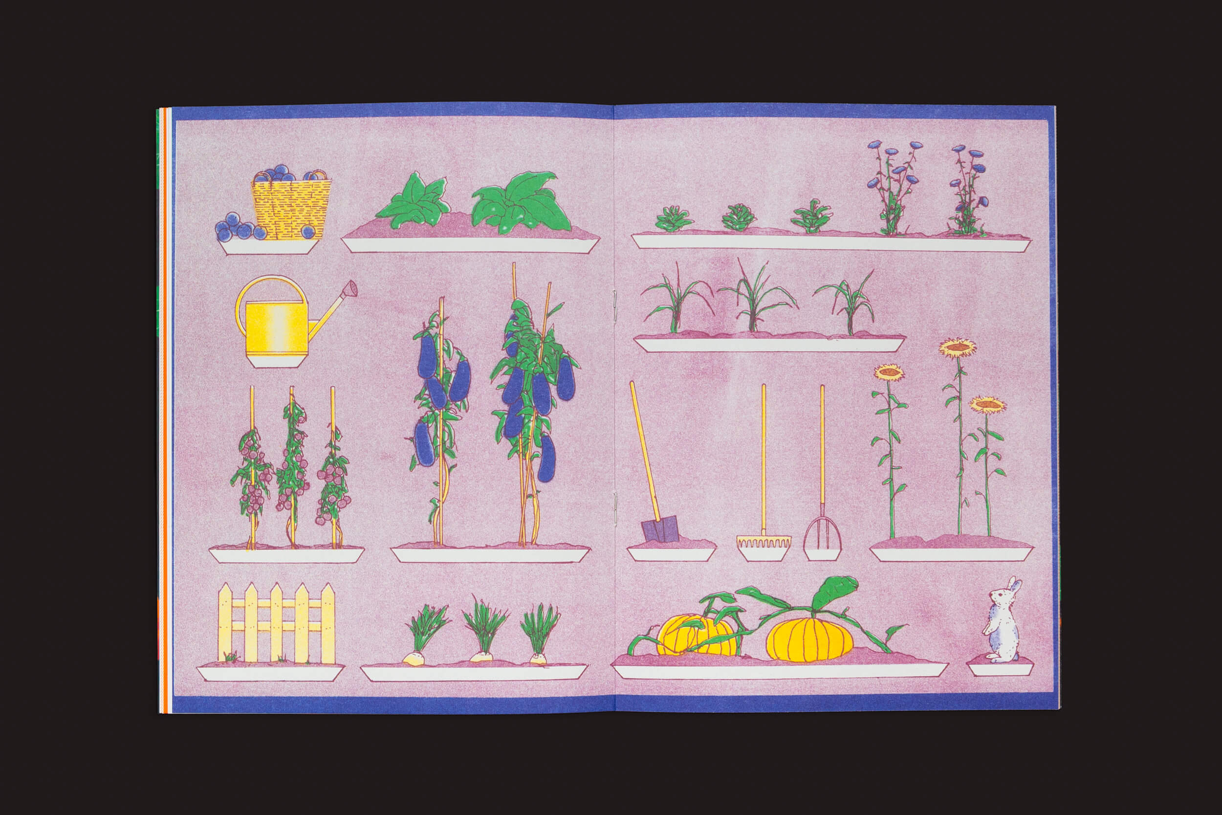 O livro Pleasant Place 2: Nasturtiums apresenta elementos vegetais como uma cesta, regador e flores de capuchinha. Os vegetais prosperam ao lado de ferramentas, uma pequena cerca, abóboras e uma estátua de coelho branco. Este projeto de jardim ganha vida com roxos, verdes e amarelos adornando as prateleiras.
