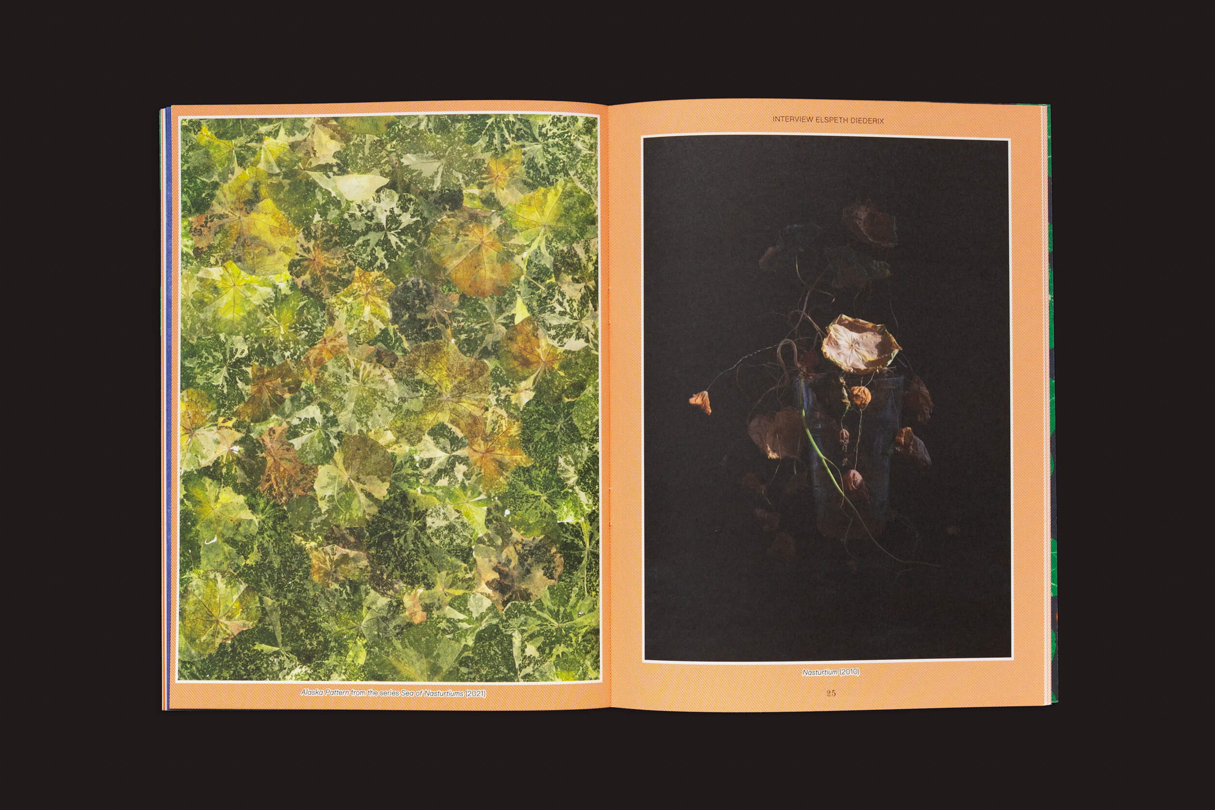 Um livro aberto revela duas páginas; a da esquerda exibe padrões abstratos de folhas verdes e amarelas que lembram design de jardins, enquanto a da direita contrasta com um fundo suave com uma delicada flor murcha. Legendas adornam ambas as páginas. Produto: Pleasant Place 2: Nasturtiums (Tropaeolum Majus) por Pleasant Place.