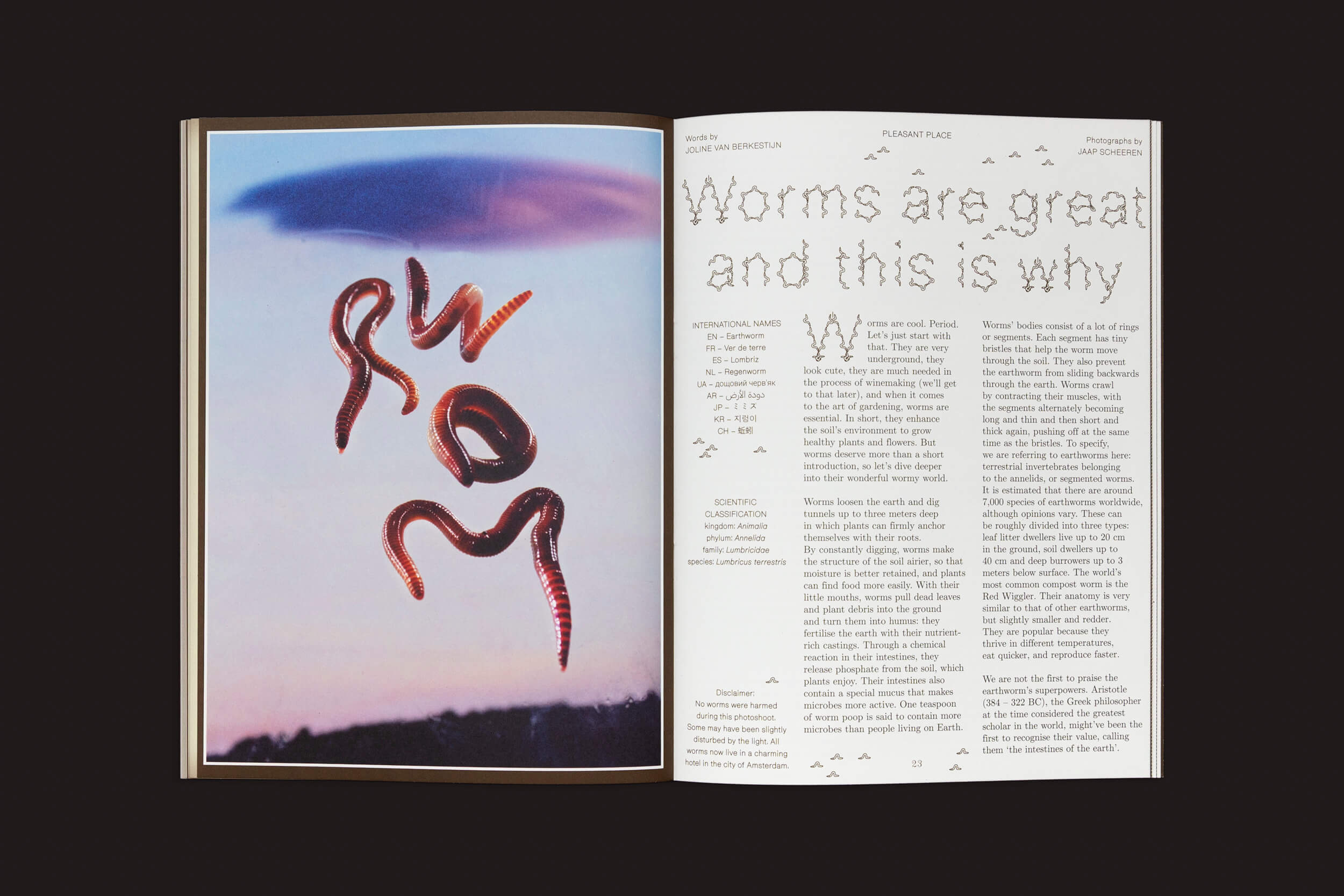 A revista aberta apresenta um artigo intitulado Minhocas são ótimas e é por isso. À esquerda, uma imagem artística de minhocas enfeita um fundo vibrante. A página da direita inicia o artigo, discutindo jardinagem e compostagem, juntamente com ilustrações e gráficos. Perfeito para um lugar agradável com compostagem!.