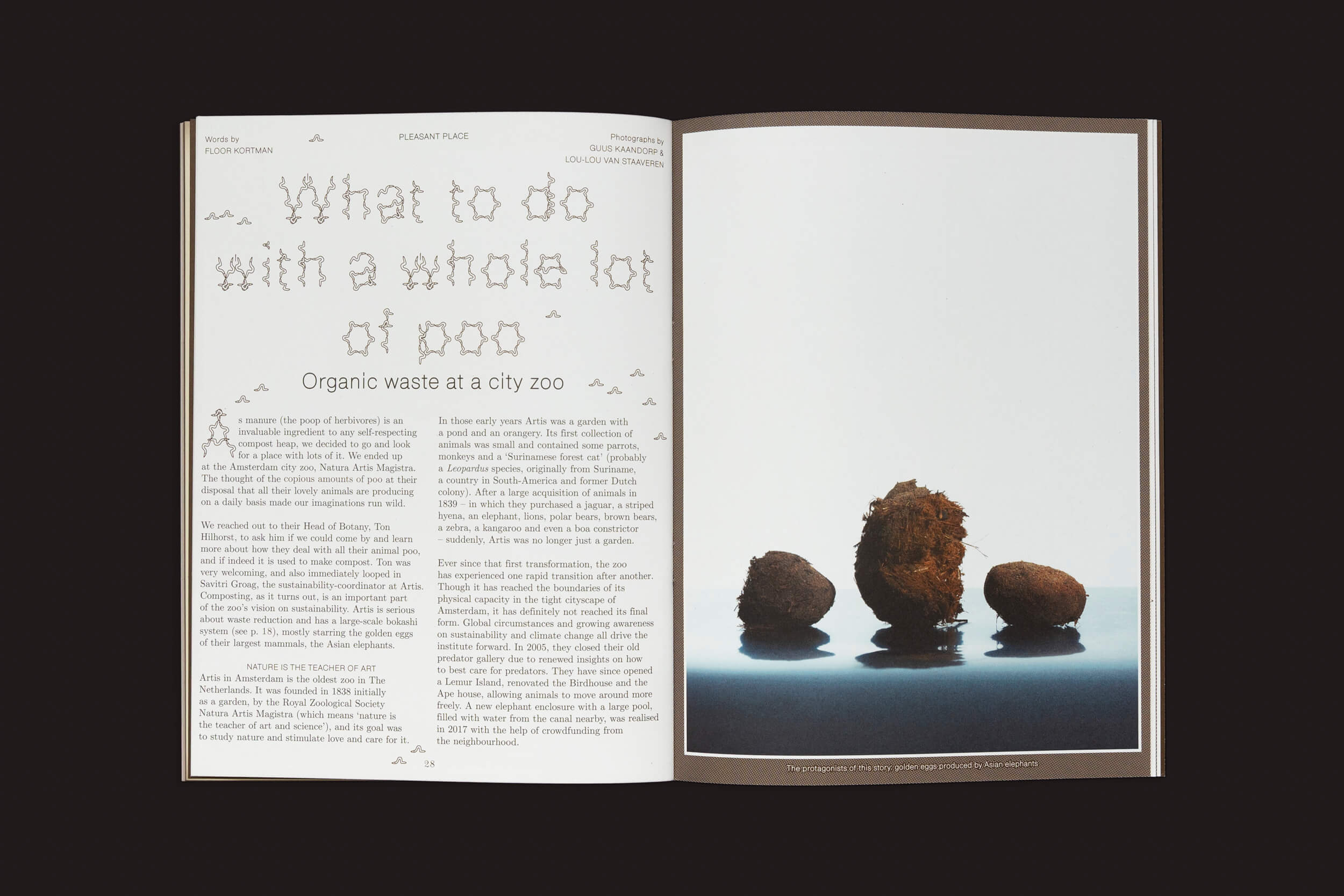 Página de revista com um artigo intitulado O que fazer com um monte de cocô: resíduos orgânicos em um zoológico da cidade. A página da esquerda explora Pleasant Place 3: técnicas de compostagem, enquanto a da direita apresenta uma imagem de três pedaços de esterco artisticamente dispostos em uma superfície branca.