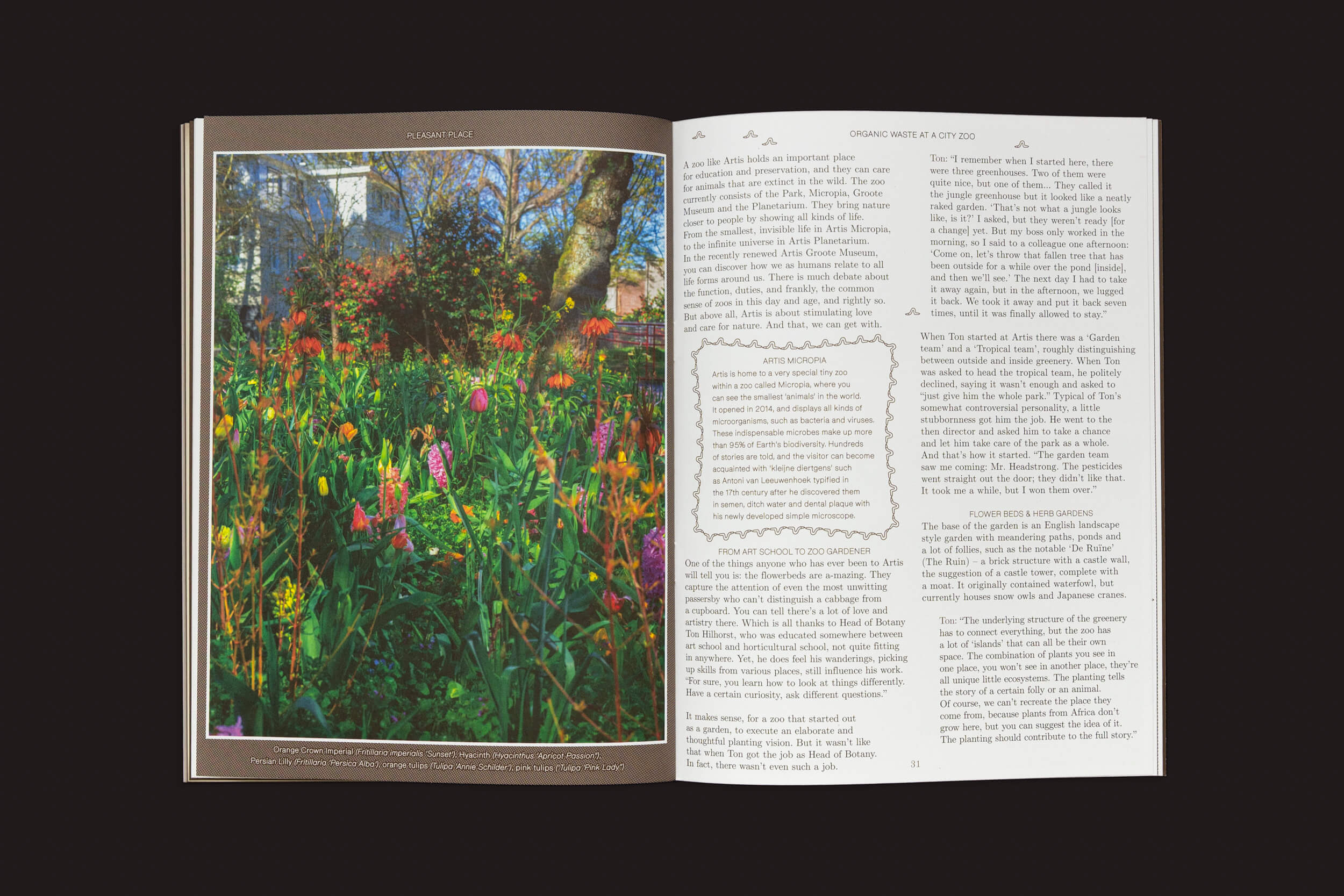 O livro aberto revela um vibrante cenário de jardim à esquerda, com flores diversas e uma casa aconchegante, enquanto a página da direita oferece duas colunas de texto discutindo tópicos como jardinagem e como as minhocas melhoram a saúde do solo, inspirados em Pleasant Place 3: Compost from Pleasant Place.