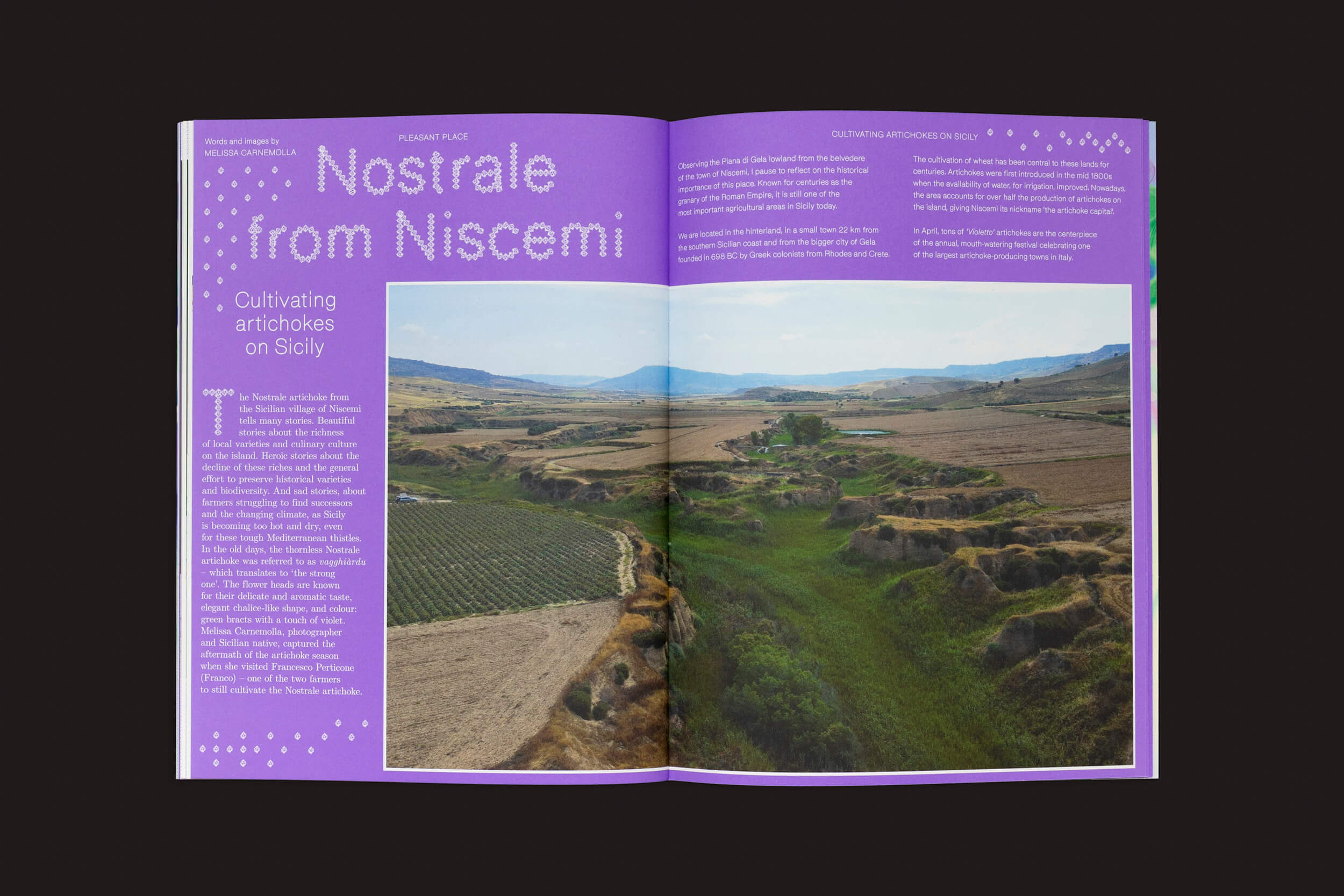 Uma revista aberta intitulada Nostrale from Niscemi explora o cultivo de alcachofras na Sicília. A página da esquerda apresenta texto em um fundo roxo, e a da direita inclui uma foto aérea de terras agrícolas sicilianas com temas vegetais, destacando Pleasant Place 4: Alcachofra.