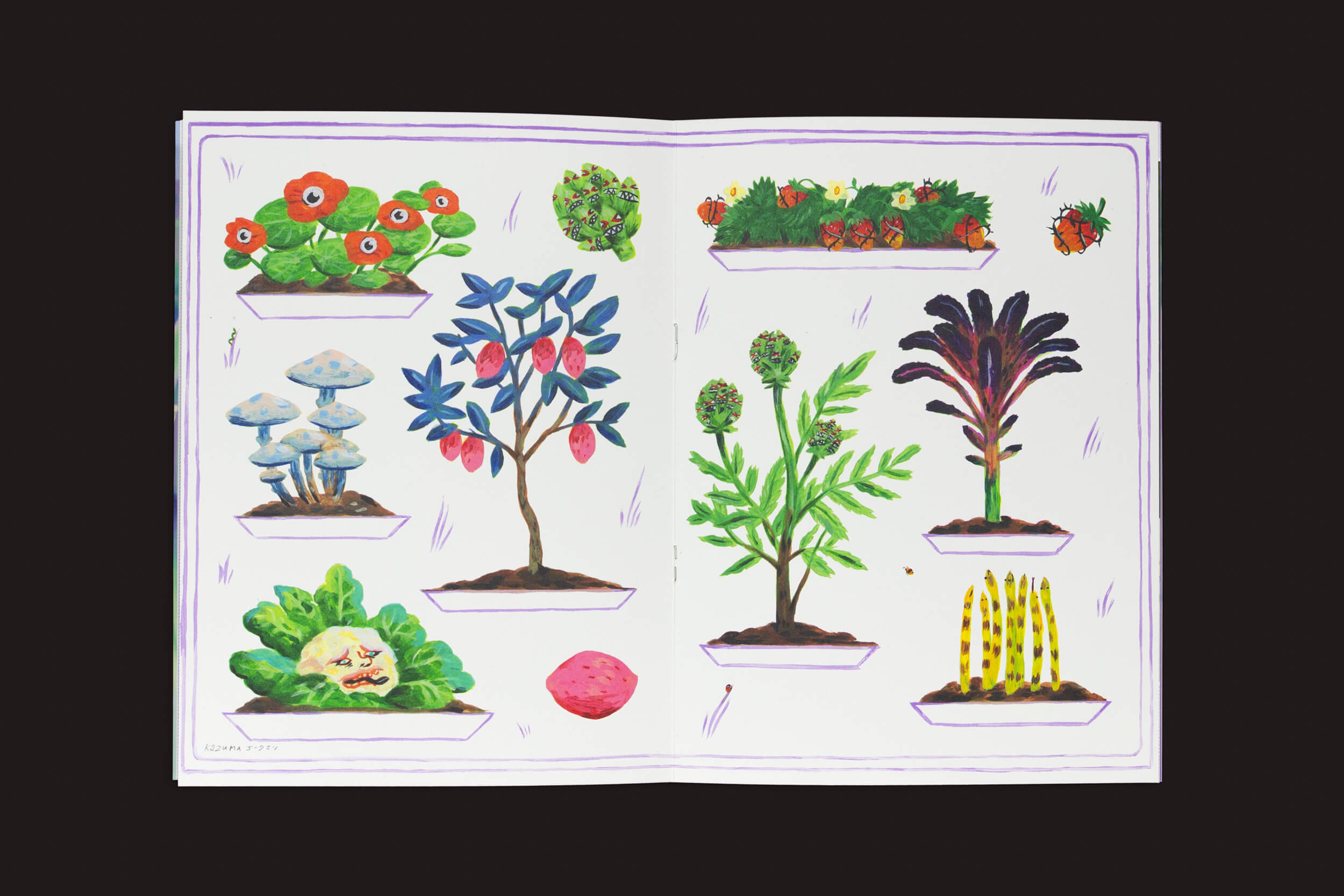 O livro Pleasant Place 4: Artichoke da Pleasant Place apresenta ilustrações vívidas e pintadas à mão de plantas e fungos únicos, incluindo uma alcachofra excêntrica (Cynara cardunculus var. Scolymus), tudo em um fundo branco simples para um conceito de jardim artístico.