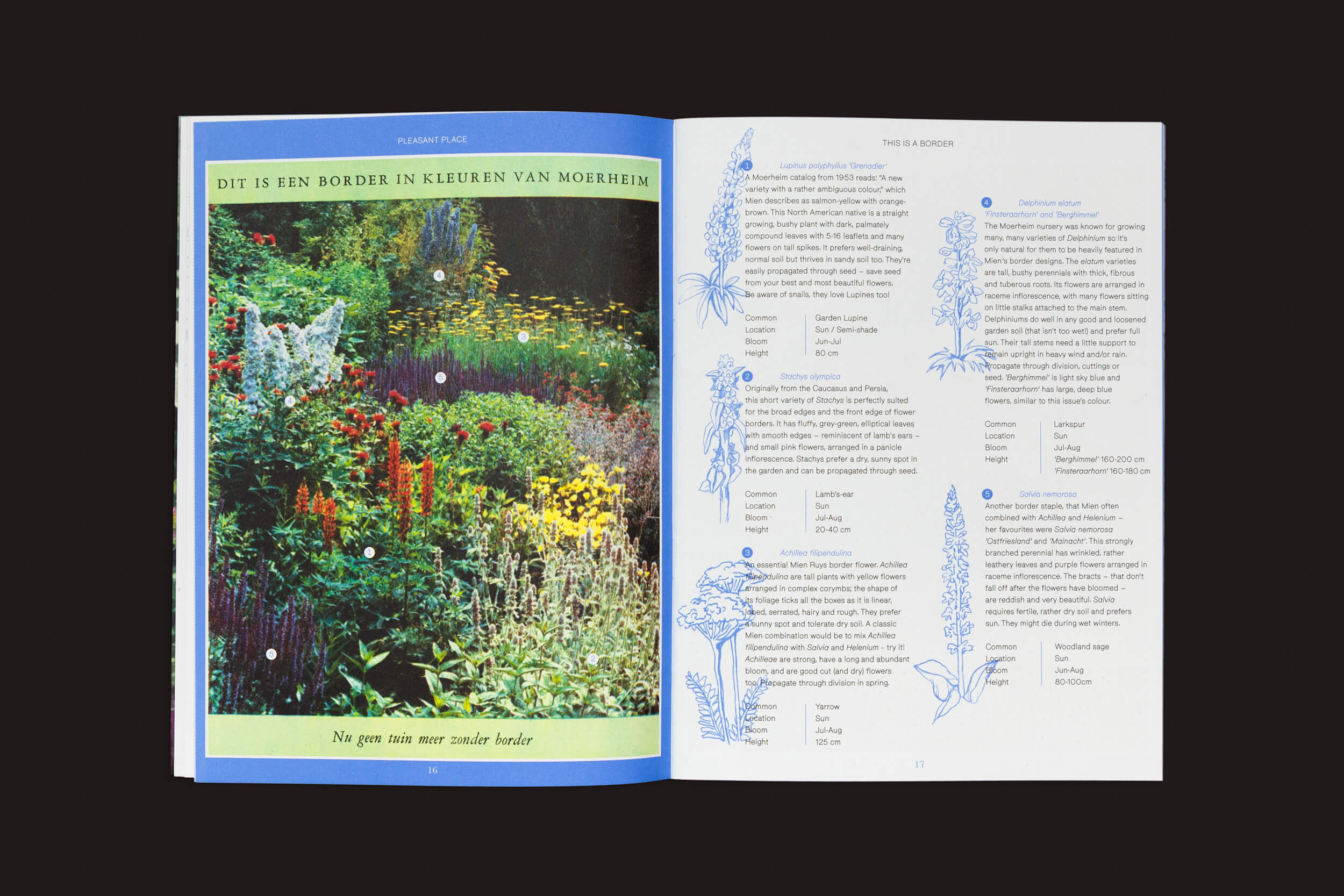 Pleasant Place 5: Mien Ruys exibe uma foto de jardim com flores vibrantes e legendas em holandês na página esquerda. A página direita apresenta texto em azul e preto entrelaçado com ilustrações botânicas, refletindo a filosofia de design de jardins do Movimento das Novas Perenes de Mien Ruys.