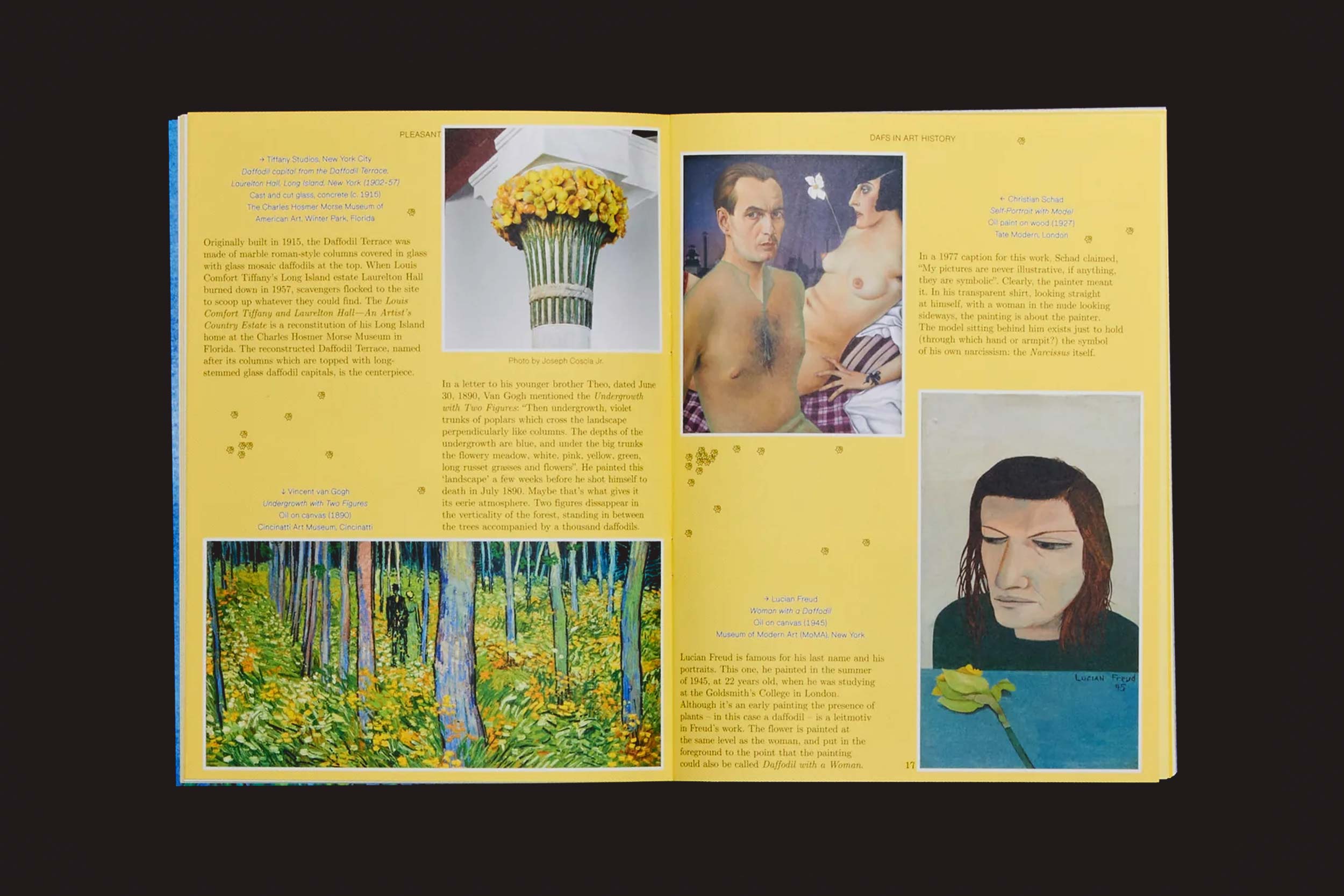 Um livro de arte Pleasant Place 7: Daffodils (Narcissus) aberto da Pleasant Place apresenta texto e quatro obras de arte, incluindo narcisos que simbolizam esperança, um retrato de duas figuras seminuas, uma floresta abstrata verde e um homem com simbolismo floral.