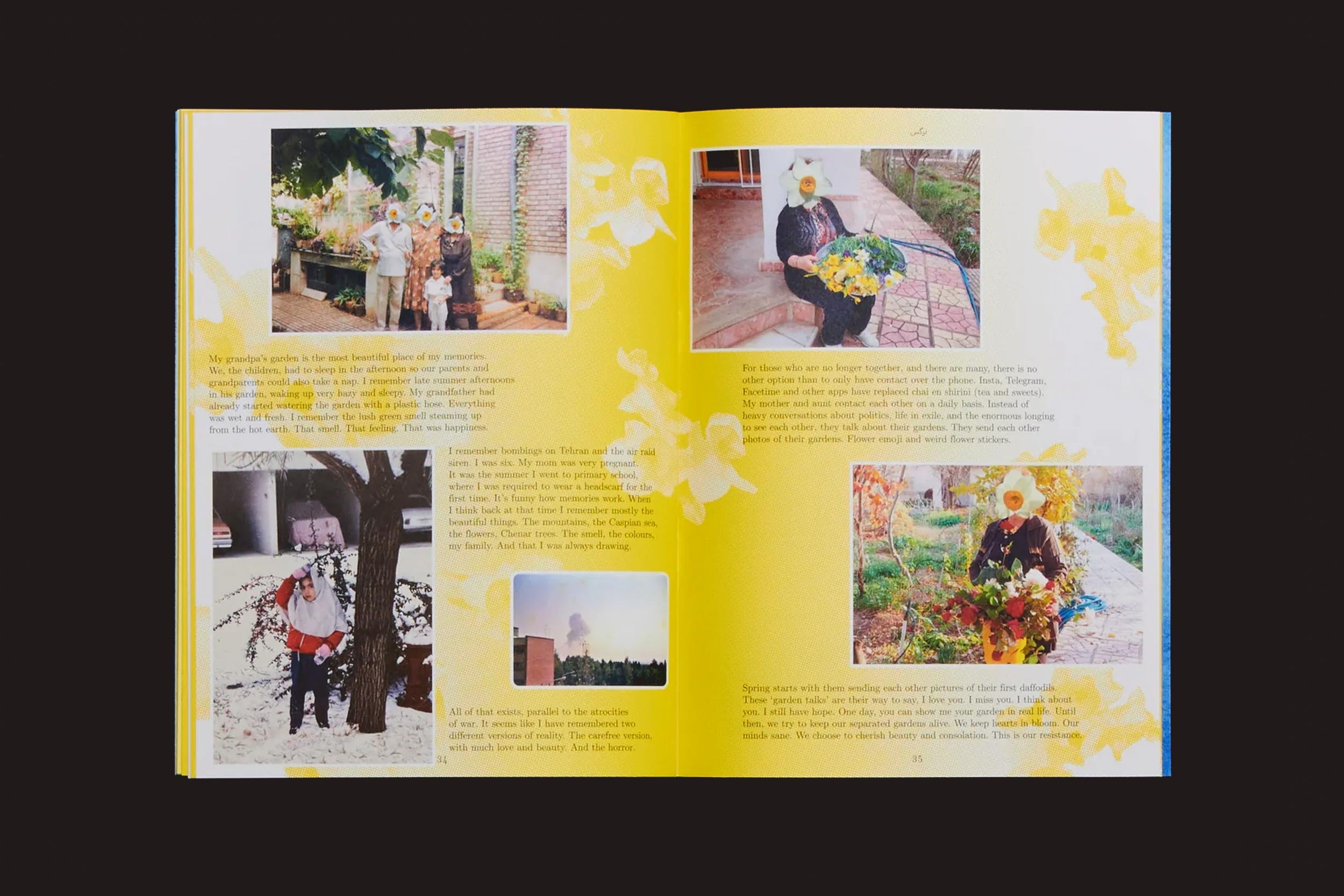 Pleasant Place 7: Daffodils (Narcissus), da Pleasant Place, é um livro aberto com ilustrações de narcisos amarelos, fotos de pessoas ao ar livre - em jardins, com flores e na neve - e um texto descritivo que evoca esperança e simbolismo floral.