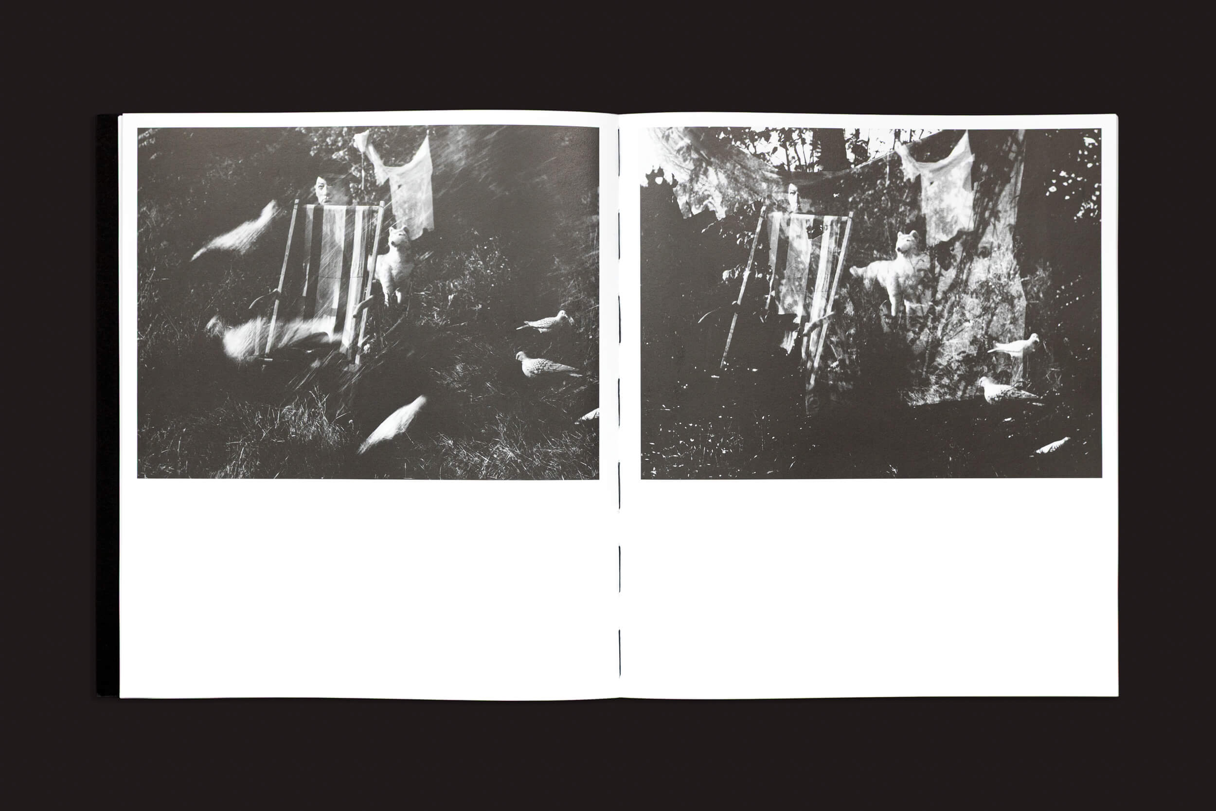 As páginas abertas de "Mario Giacomelli: Questo ricordo lo vorrei raccontare", de Skinnerboox, exibem fotos abstratas em preto e branco, com uma cortina com efeitos de movimento desfocados, que lembram pássaros em voo. As páginas em branco contrastam com as imagens escuras, capturando o espírito da fotografia artística.