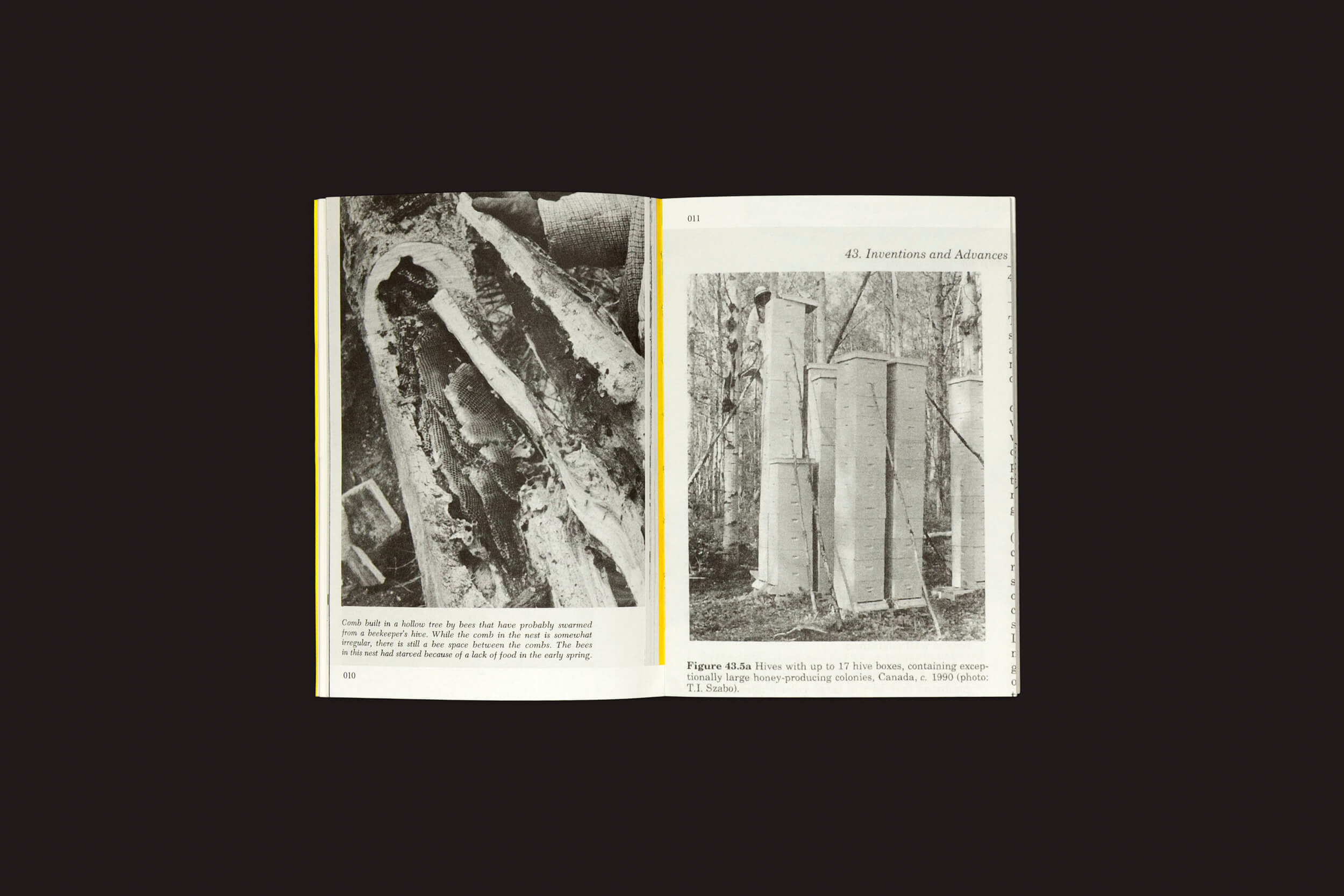 As páginas abertas de Aladin Borioli: Hives da RVB Books exibem fotografias em preto e branco; a esquerda mostra uma trincheira com toras, enquanto a direita apresenta estruturas altas que lembram colmeias modernas em uma área arborizada. O texto que acompanha destaca a inovação na apicultura.