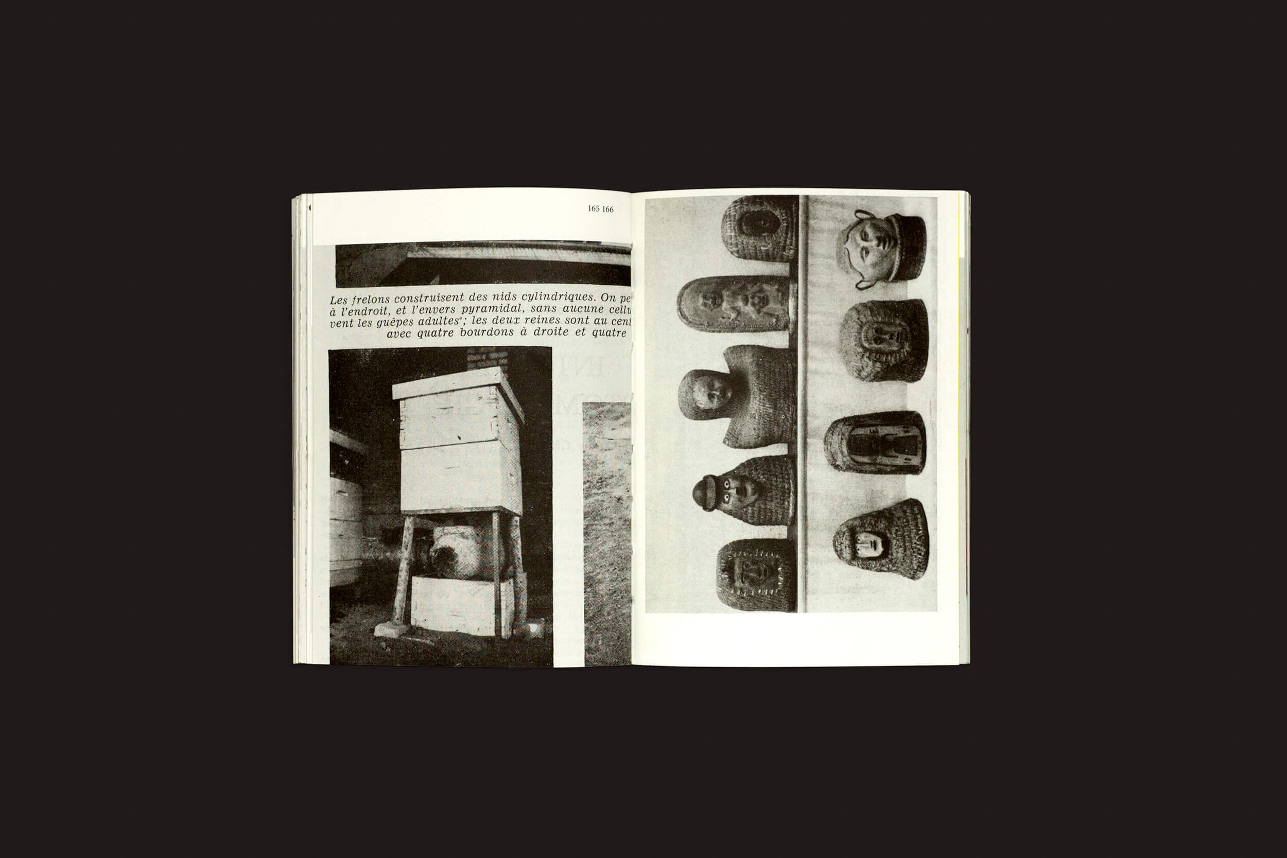 Um livro aberto repousa sobre uma superfície preta; a página da esquerda mostra a inovação moderna da colmeia, enquanto figuras de cerâmica aparecem nas prateleiras à direita. Fotos em preto e branco ao lado de texto em francês destacam técnicas alternativas de cuidado das abelhas integradas à apicultura tradicional. (Aladin Borioli: Hives, RVB Books).