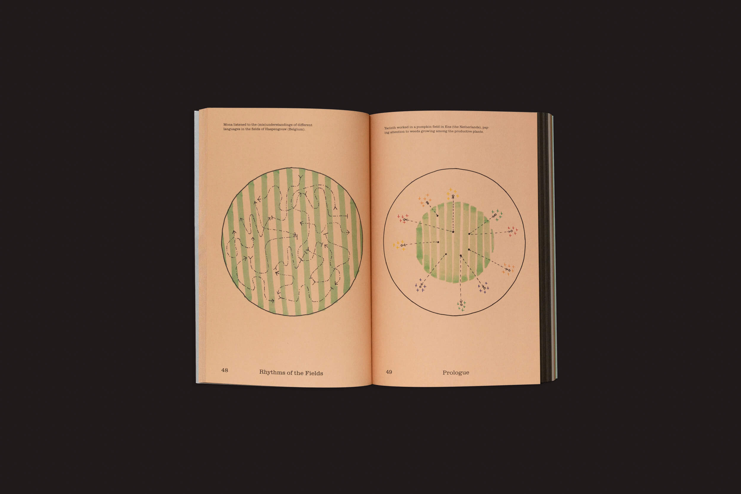 Um produto da Onomatopee, Seasonal Neighbours: Seasonal Matters Rural Relations, é aberto em duas páginas em um fundo bege. A da esquerda, Rhythm of the Fields, mostra um círculo listrado de verde sobre práticas artísticas e relações rurais. A da direita, Prologue, exibe pontos e linhas no tema Seasonal Neighbours.
