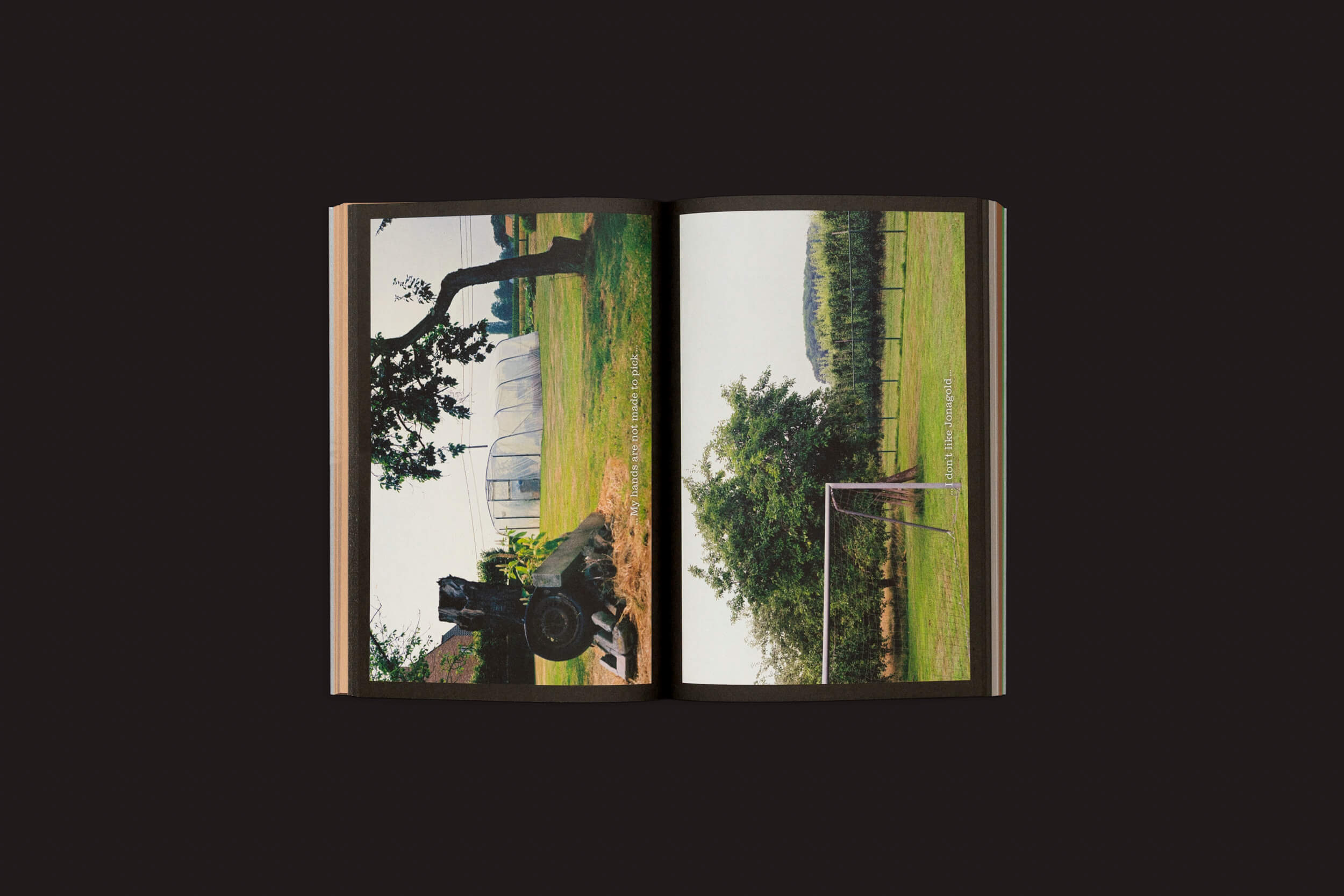 Um livro aberto Seasonal Neighbours: Seasonal Matters Rural Relations de Onomatopee mostra vibrantes fotos ao ar livre; uma árvore curva e um edifício esférico na página esquerda ilustram práticas artísticas, enquanto um campo gramado com uma árvore e cerca à direita evocam relações rurais. Um fundo escuro realça as cores.