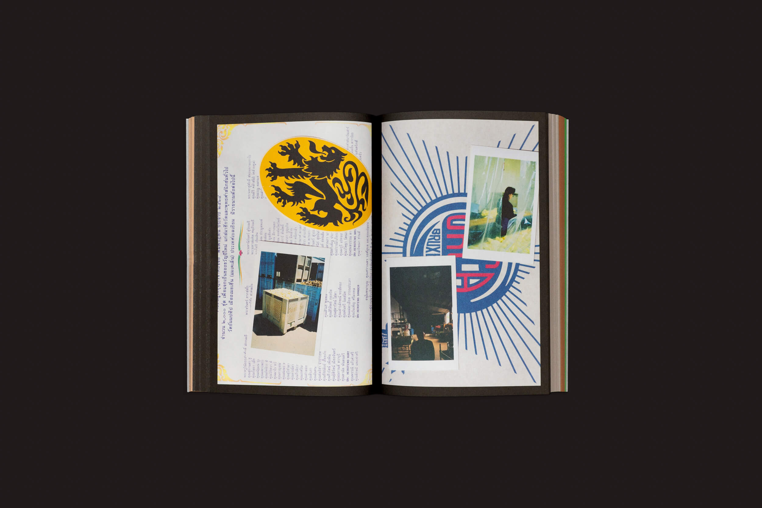 Um livro aberto contra um fundo escuro apresenta gráficos e fotos coloridas. A página da esquerda, intitulada práticas artísticas, exibe texto com um emblema de leão, enquanto a da direita apresenta duas pequenas fotos e um logotipo circular. Esta vibrante propagação é de Seasonal Neighbours: Seasonal Matters Rural Relations da Onomatopee.