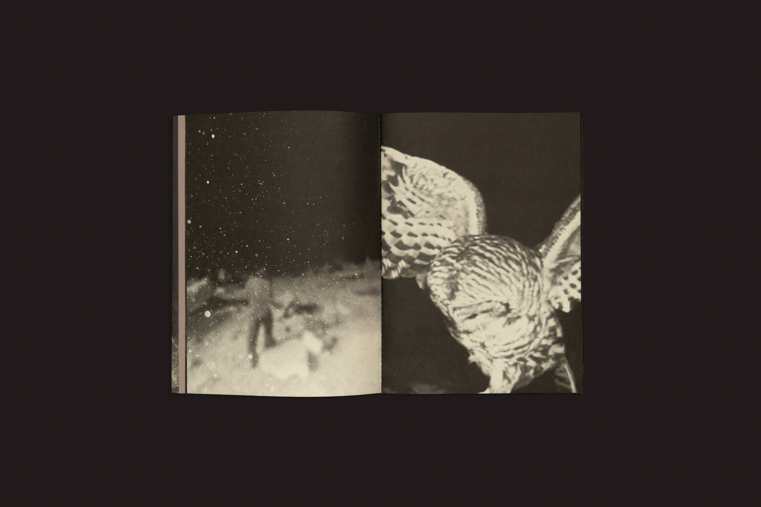 O livro Sintomas: Vários Artistas, do Selo Turvo, está aberto sobre um fundo escuro, com a página da esquerda exibindo uma cena de aldeia coberta de neve e uma figura desfocada, enquanto a da direita apresenta uma coruja preta e branca em voo, com suas penas detalhadas destacadas pelo contraste.