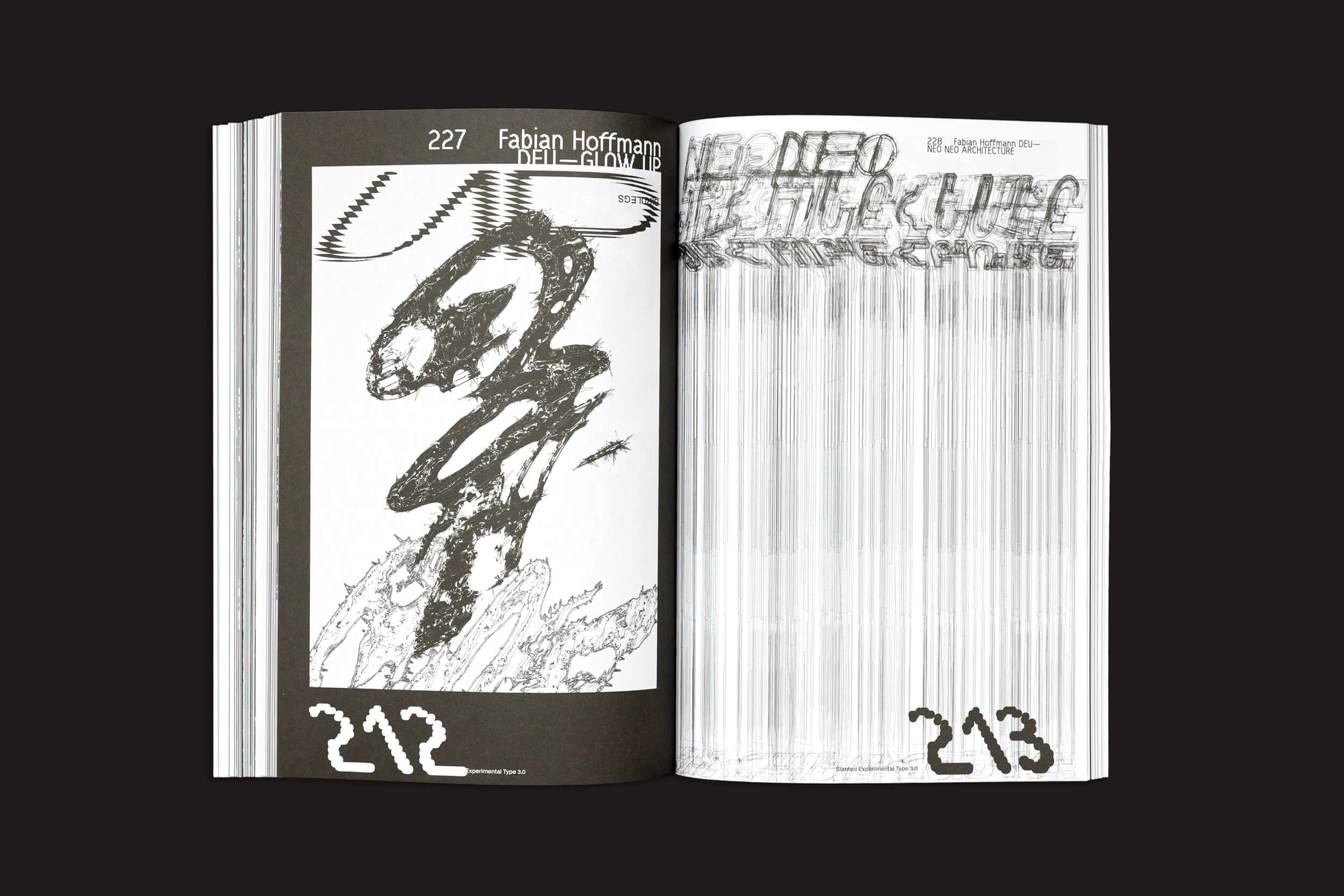 O livro "Slanted: Slanted Experimental Type 3.0" da Slanted Publishers apresenta imagens e textos abstratos, distorcidos e em preto e branco. As páginas 212-213 apresentam visuais falhos e tipografia distorcida, criando uma narrativa única por meio de sua apresentação inclinada.