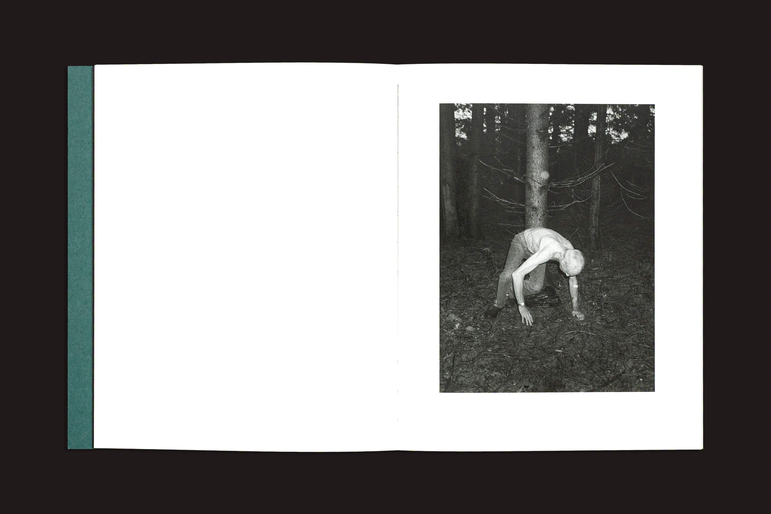 Um livro aberto, Dylan Hausthor & Pia Paulina Guilmoth: Sleep Creek by Void, exibe uma foto em preto e branco que mistura estilos documental e ficcional: uma pessoa de quatro em uma floresta escura, com árvores ao fundo; a página da esquerda está em branco.