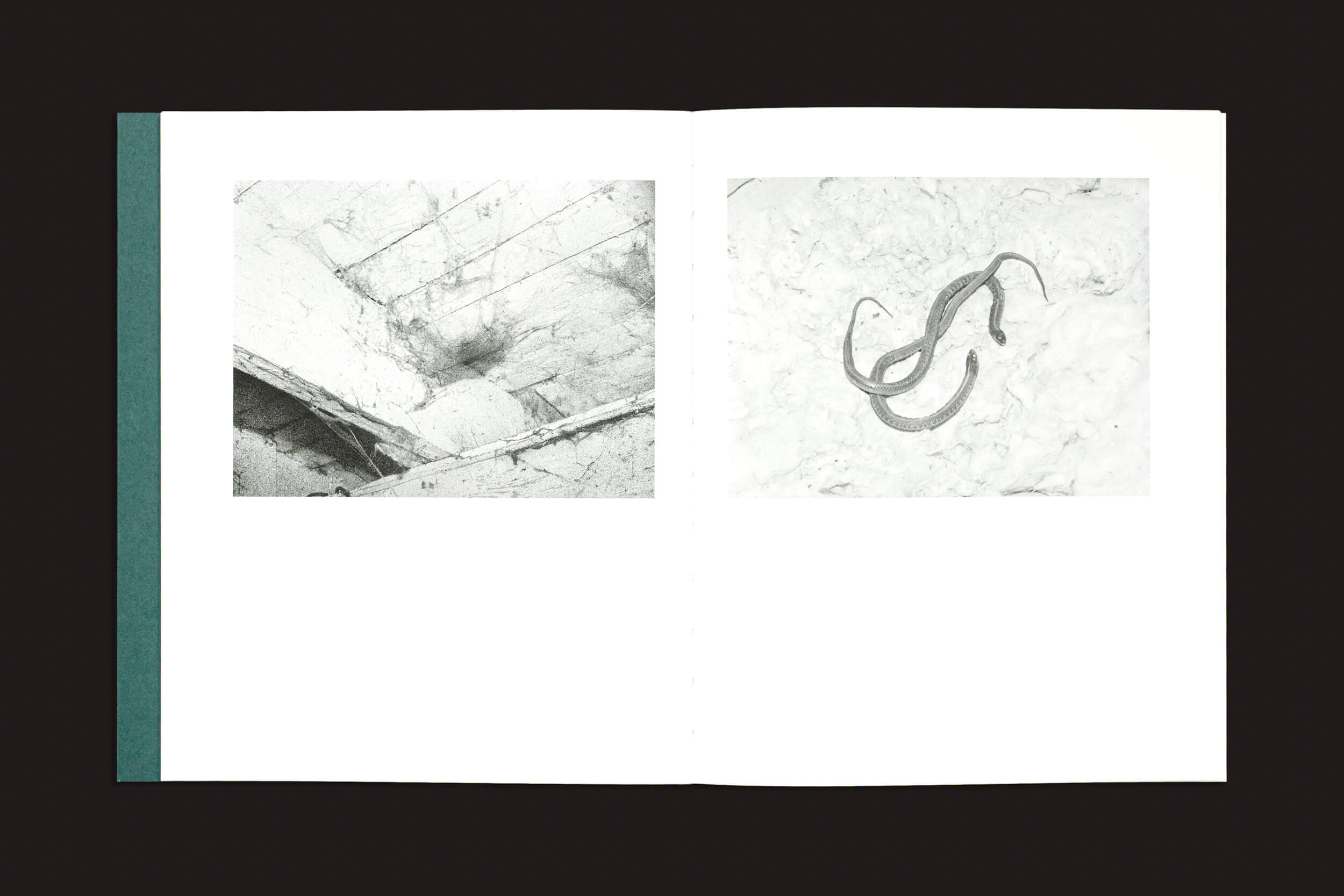 Um livro aberto revela fotos em preto e branco: um teto com canos e sombras à esquerda e uma cobra enrolada à direita, destacando o estilo documental e ficcional de "Sleep Creek", de Dylan Hausthor e Pia Paulina Guilmoth (Void).