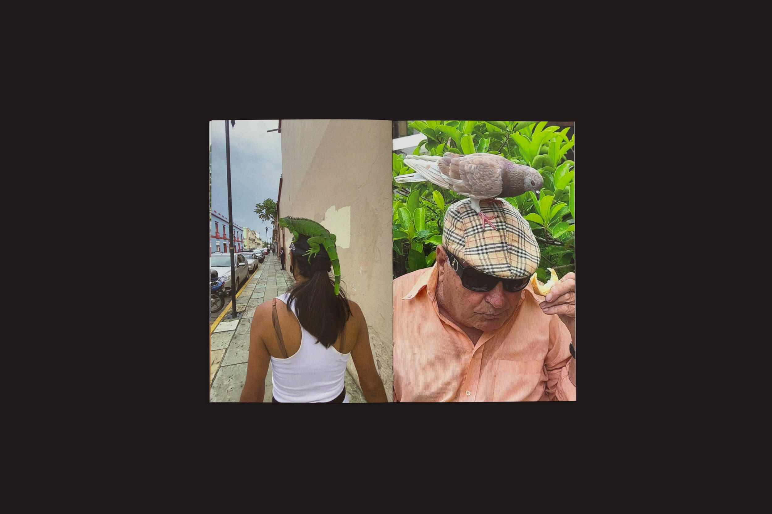 Uma imagem dividida de Sam Youkilis: Somewhere 2017-2023 por Loose Joints mostra uma pessoa passeando com um pombo na cabeça e, à direita, um homem de óculos escuros com um empoleirado enquanto segura um lanche. Esta obra observacional destaca pombos à vontade, capturando uma intrigante experiência humana.