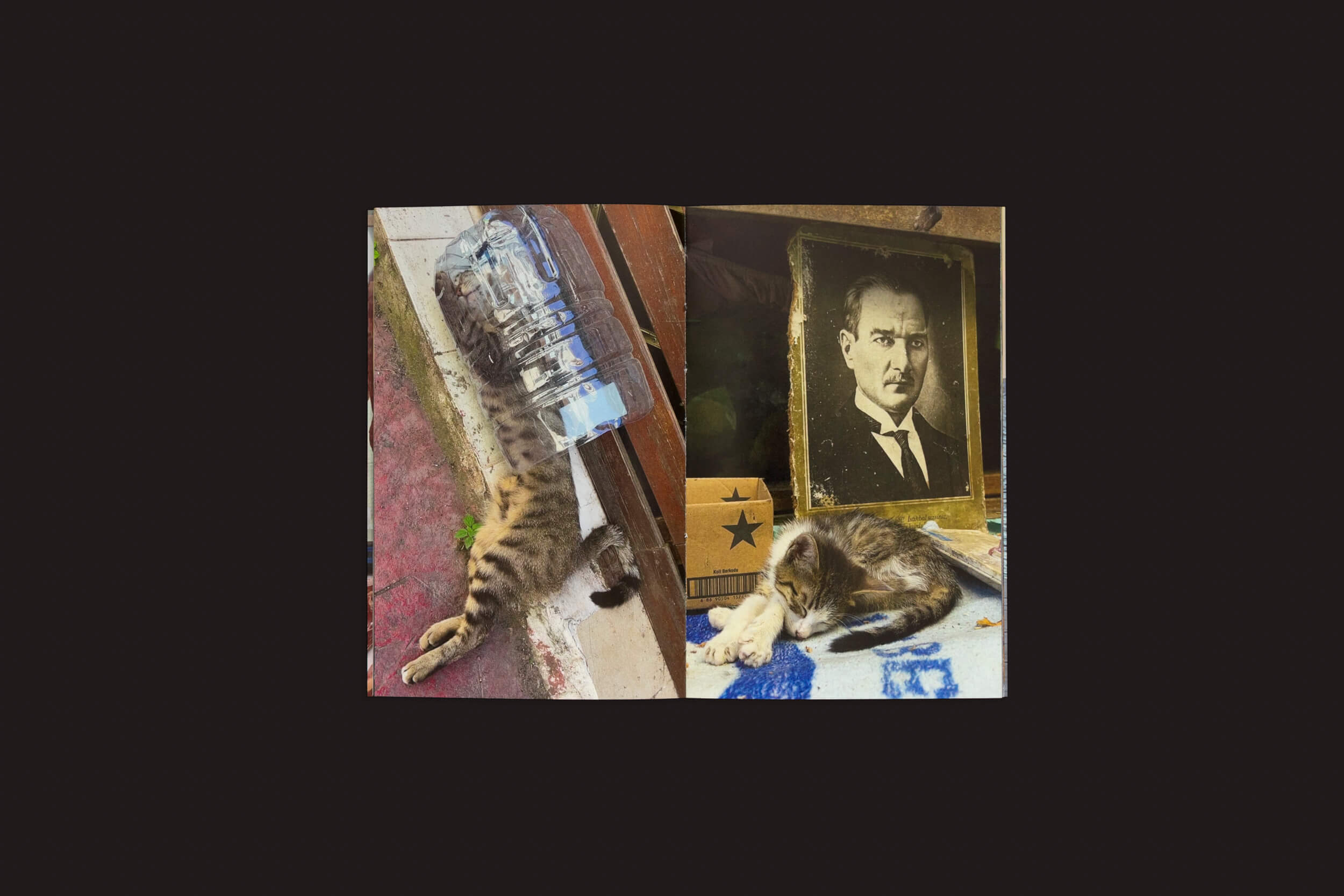 Uma colagem de duas imagens: à esquerda, um gato malhado deitado sob uma grande garrafa de água; à direita, um gato descansa perto de fotografias — oferecendo uma obra observacional de Sam Youkilis: Somewhere 2017-2023 de Loose Joints que captura a essência serena da vida felina.