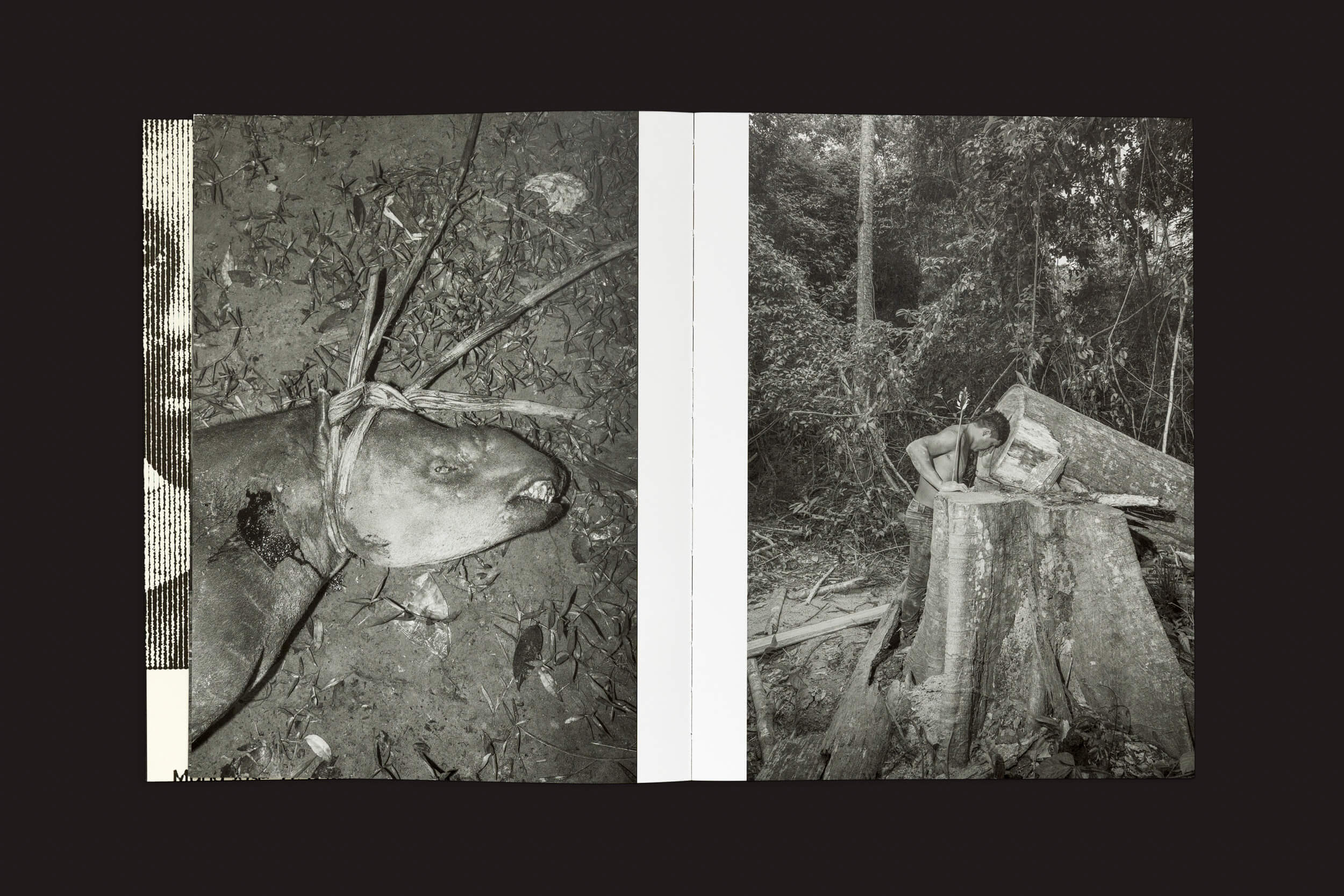 Esquerda: Um grande peixe amarrado por uma corda entre folhas ilustra os efeitos da poluição. Direita: Alguém se inclina sobre um toco de árvore em uma floresta densa, significando necessidades de conservação em meio a troncos e folhagens. Da coleção Tommaso Protti: Terra Vermelha da Void, em um cenário escuro.