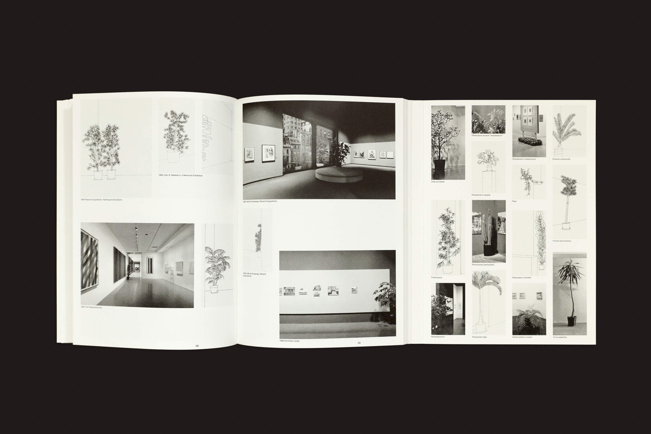 O livro Inge Meijer: The MoMA Plant Collection, da Roma Publications, apresenta fotos e ilustrações em preto e branco de plantas, instalações de arte e esboços que lembram Henri Matisse em ambientes de galeria, com um fundo preto sólido realçando as páginas.