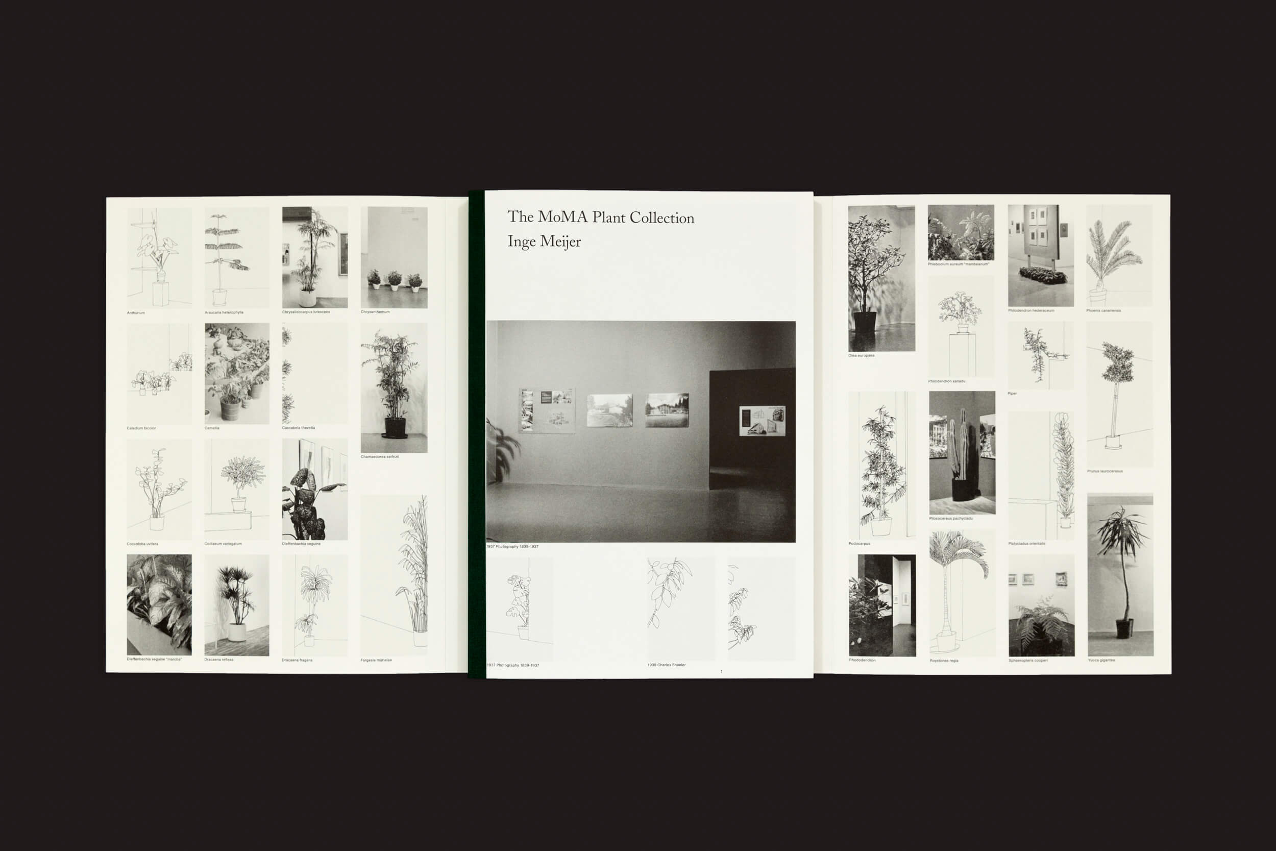 Inge Meijer: A MoMA Plant Collection da Roma Publications apresenta uma exibição de três painéis com fotos em P&B e esboços no estilo Matisse. As plantas formam uma colagem em um fundo preto, criando um tributo artístico evocativo.