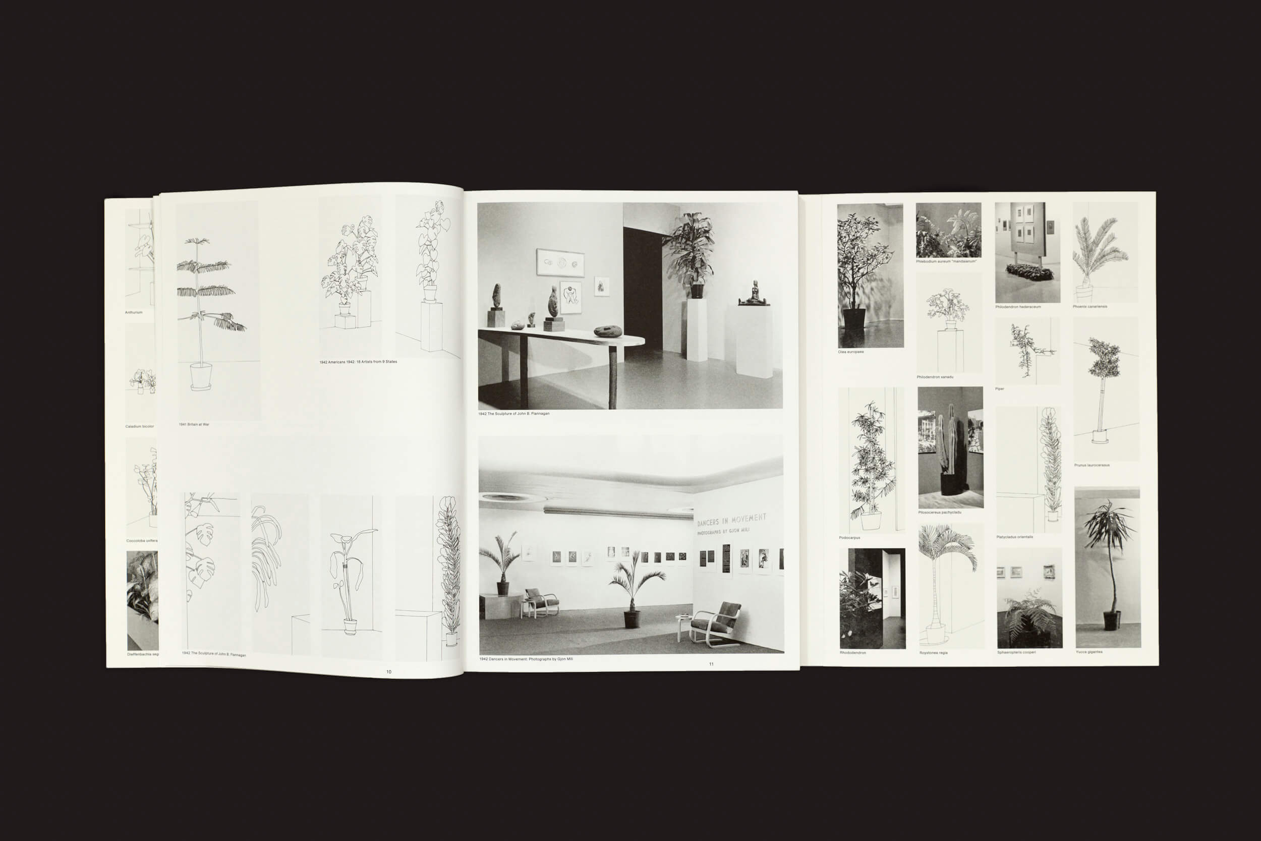 Inge Meijer: A MoMA Plant Collection da Roma Publications está aberta em um fundo escuro. As páginas exibem fotografias em preto e branco de plantas de interior e interiores de cômodos, reminiscentes do estilo de Henri Matisse, com várias imagens mostrando plantas em vasos e arranjos de decoração em vários cômodos.