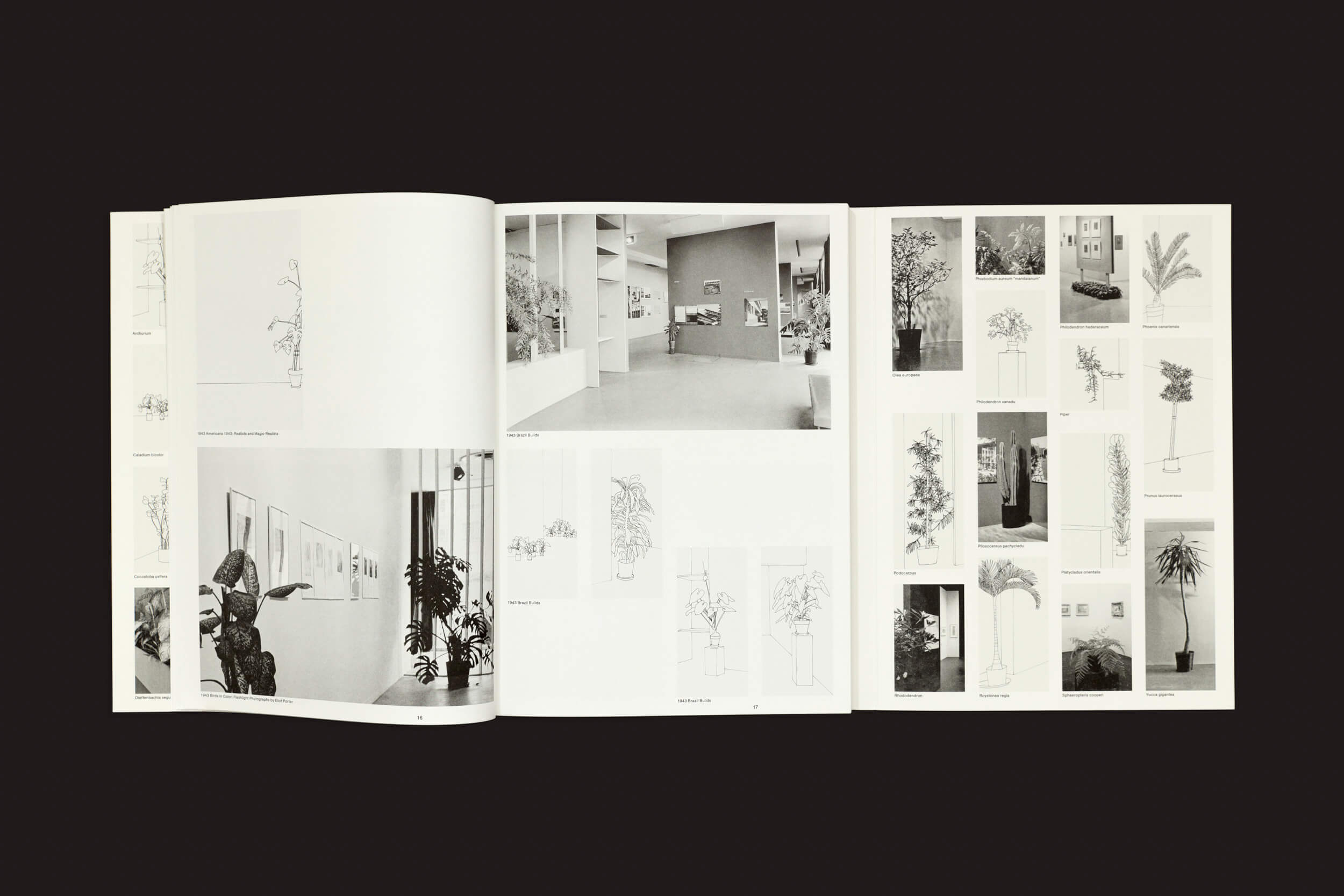 Um livro aberto intitulado Inge Meijer: The MoMA Plant Collection da Roma Publications apresenta fotos em preto e branco e diagramas de plantas e interiores modernos, colocados contra um fundo escuro. As páginas organizam artisticamente plantas e espaços de galeria, evocando o estilo sereno de tela de Rothko.